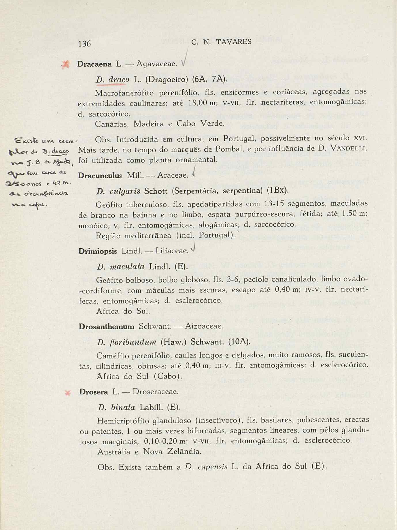 07485.004.001- pag.163