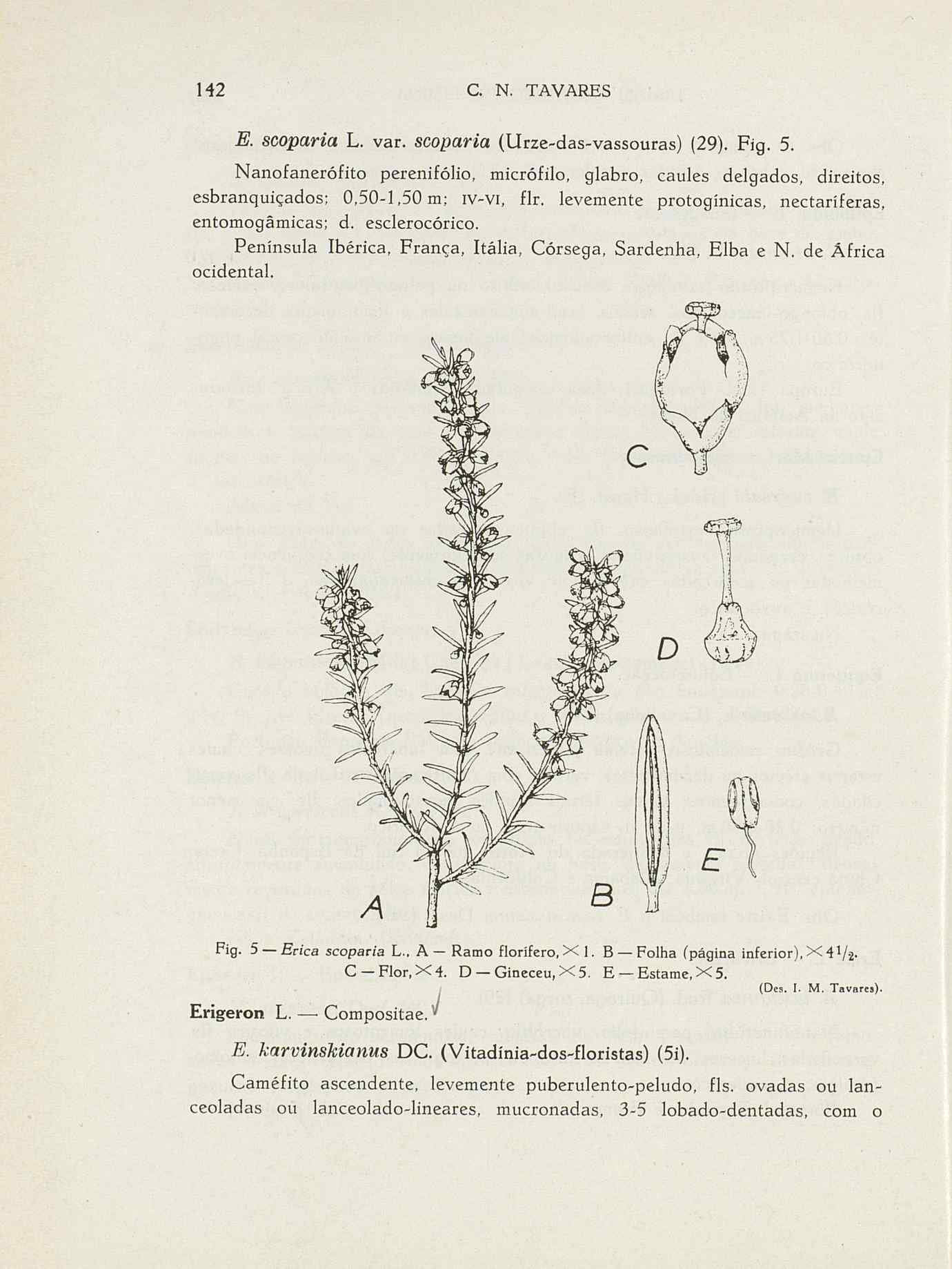 07485.004.001- pag.169