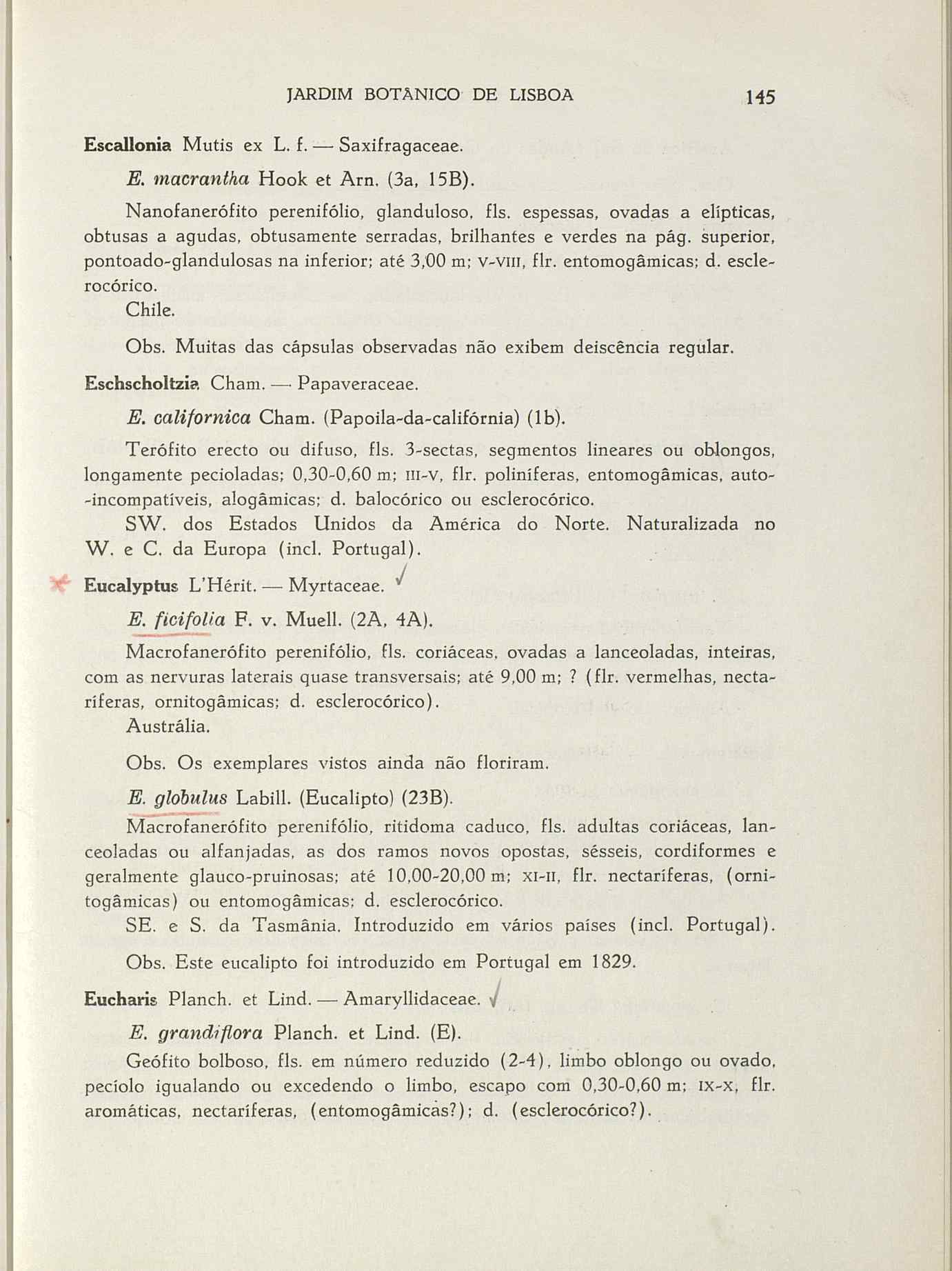 07485.004.001- pag.172