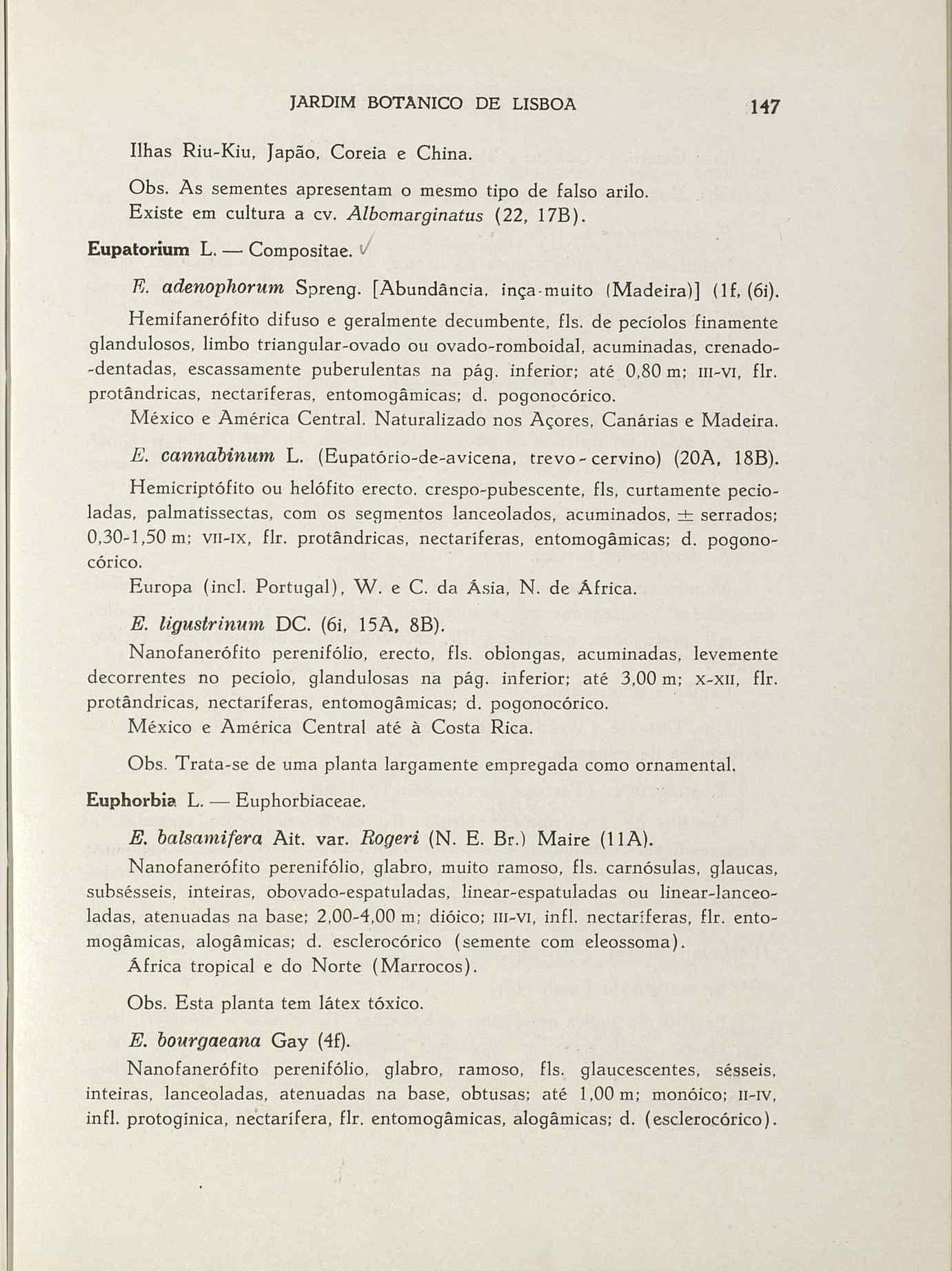 07485.004.001- pag.174