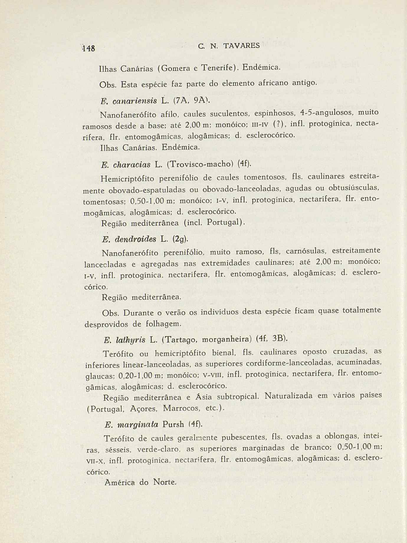 07485.004.001- pag.175