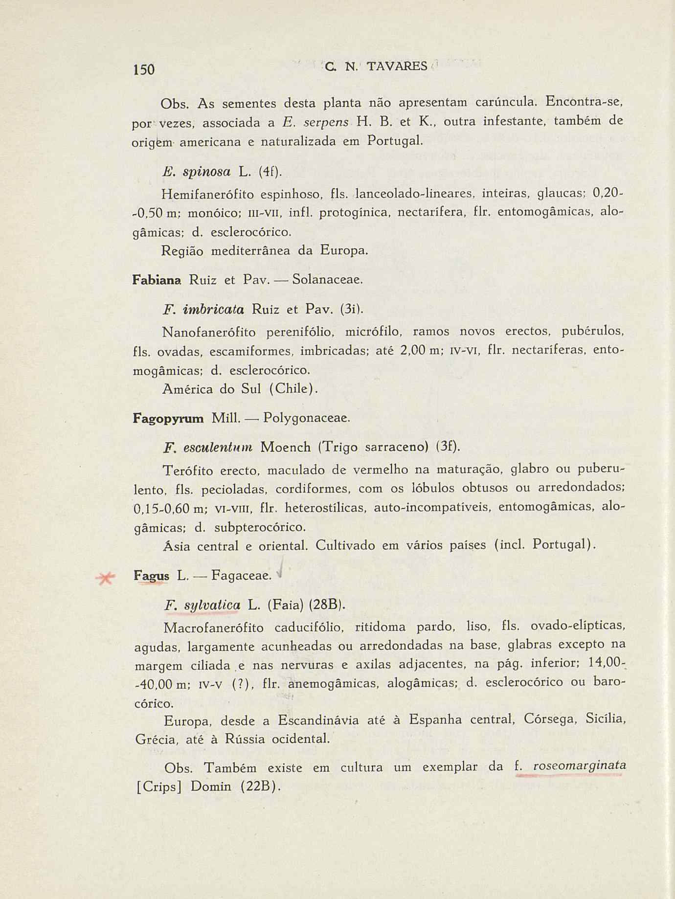 07485.004.001- pag.177