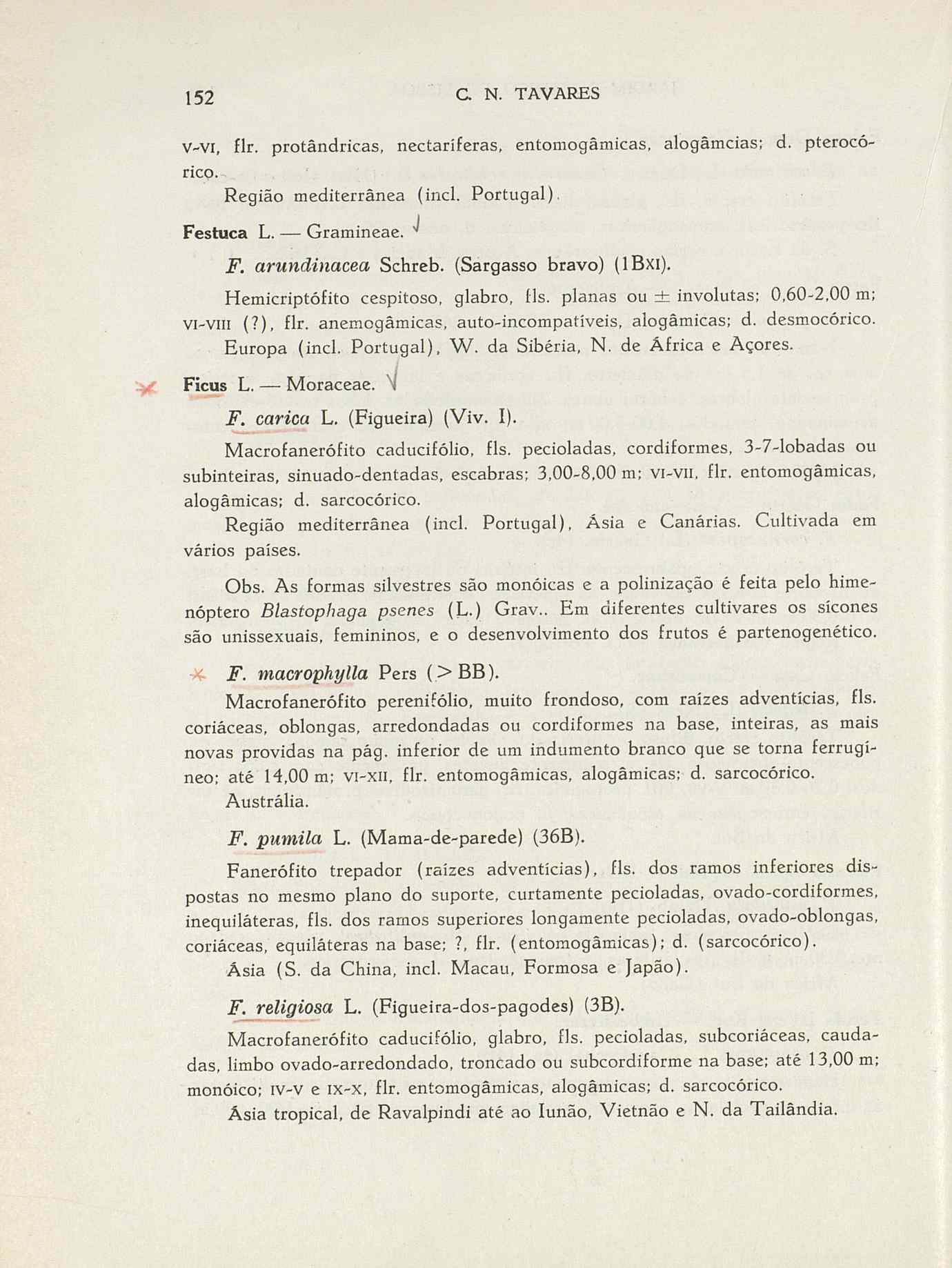 07485.004.001- pag.179