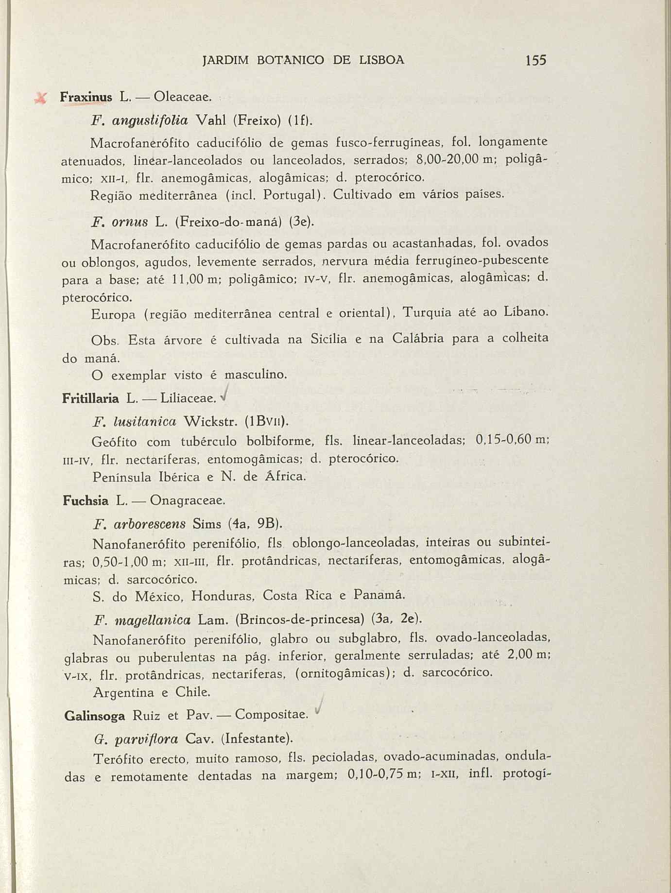 07485.004.001- pag.182