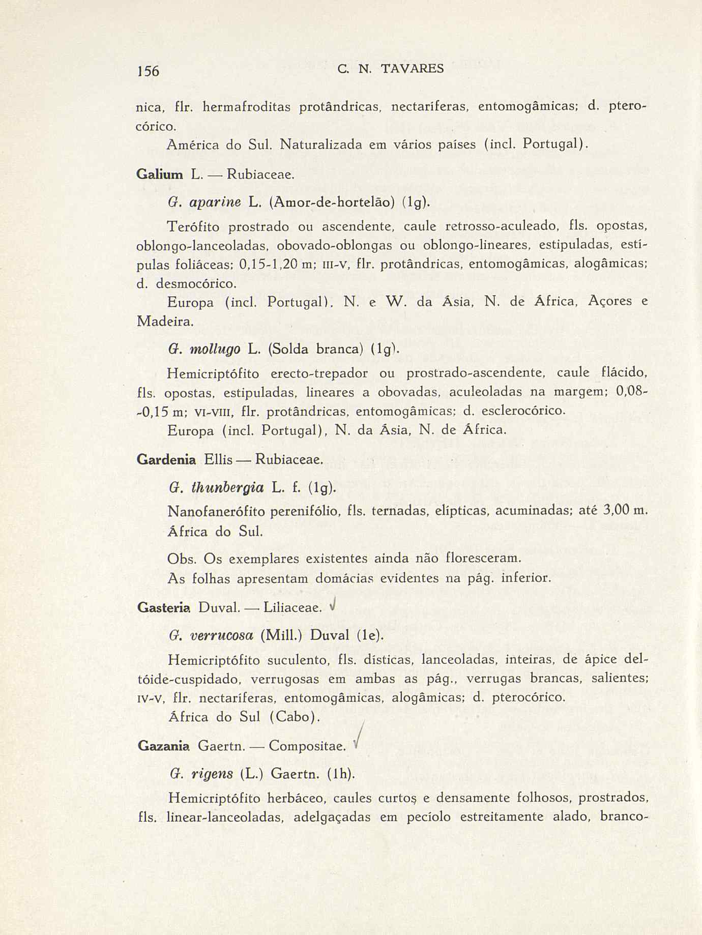 07485.004.001- pag.183