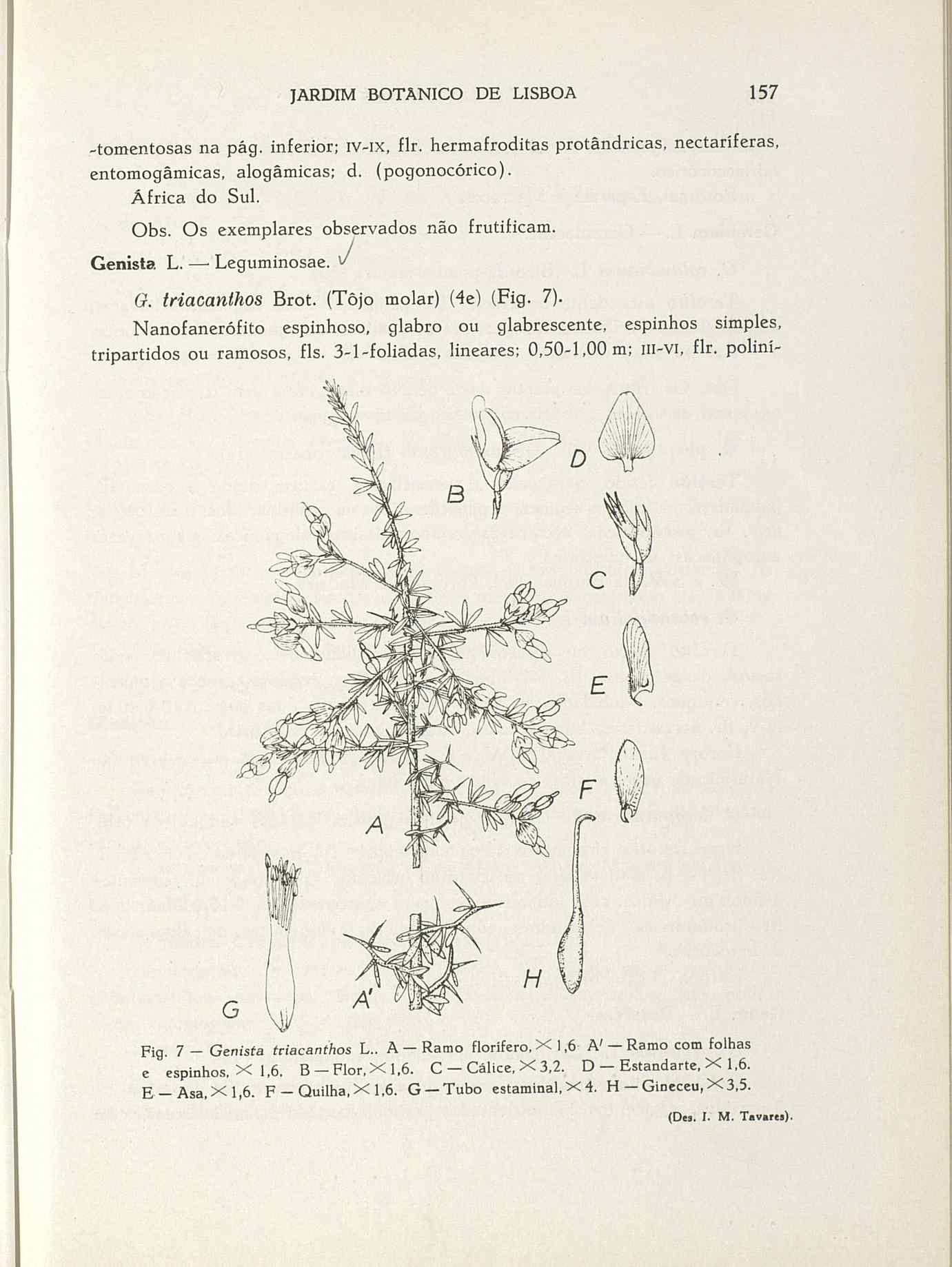 07485.004.001- pag.184