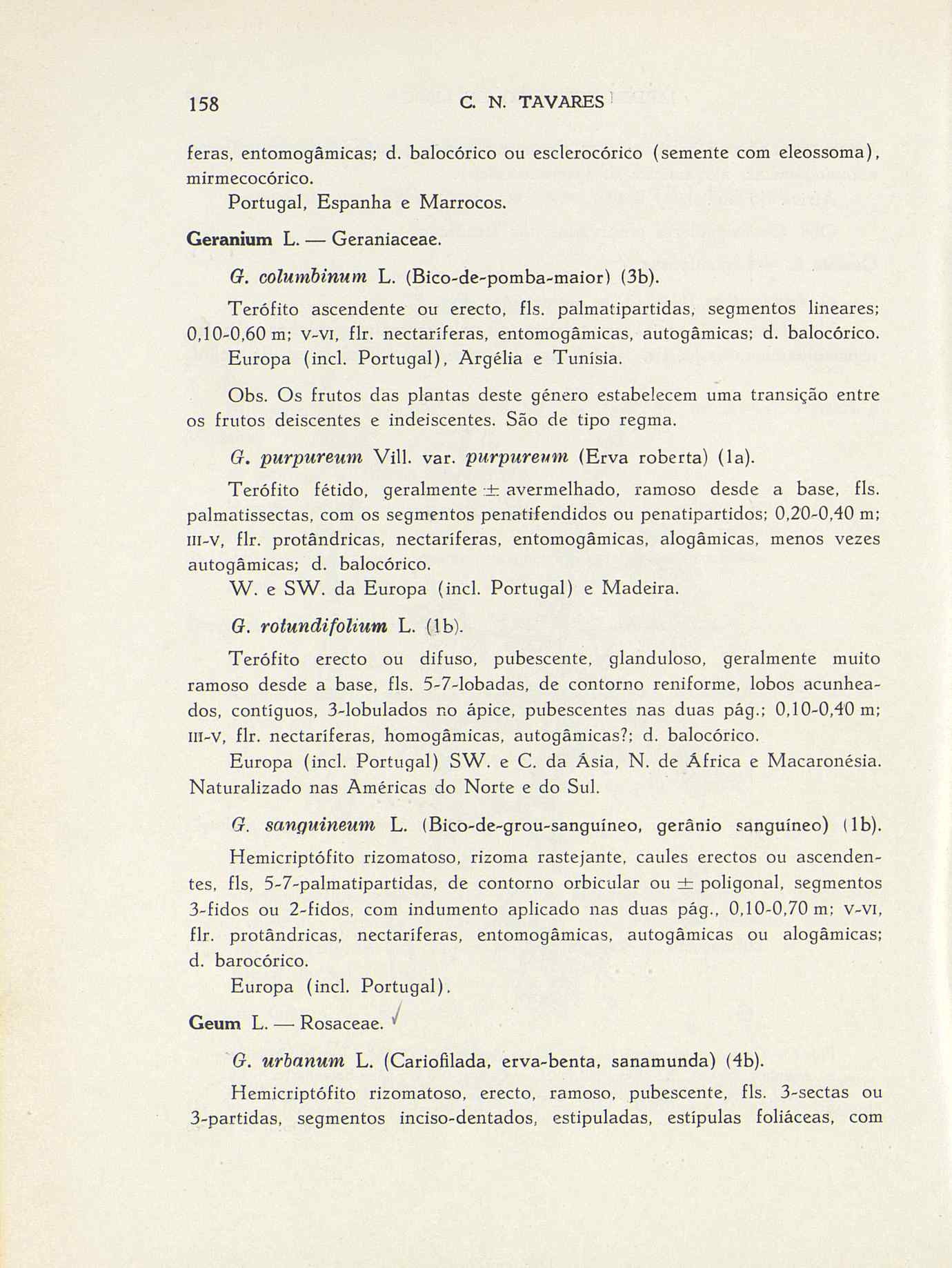 07485.004.001- pag.185