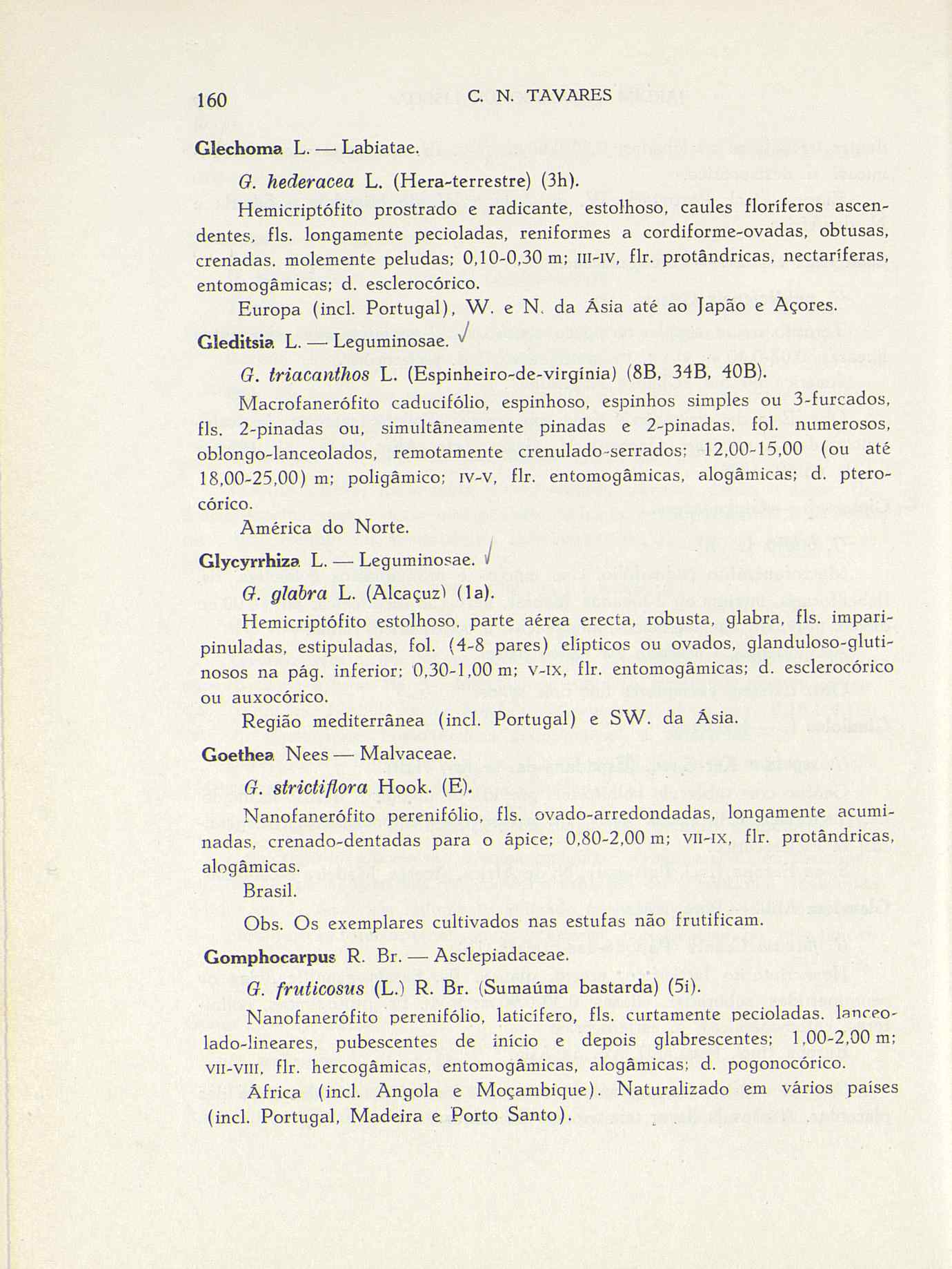 07485.004.001- pag.187