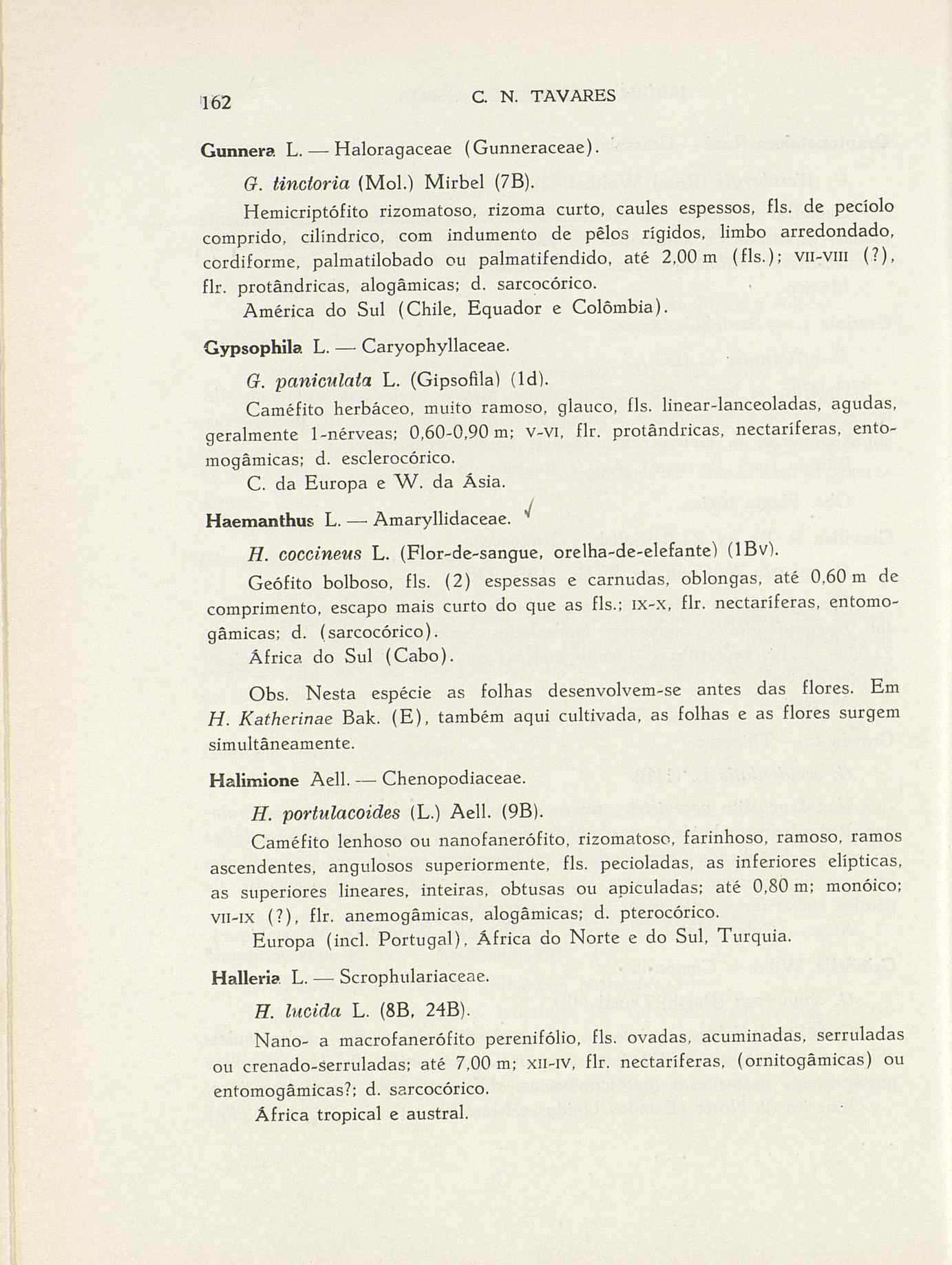 07485.004.001- pag.189