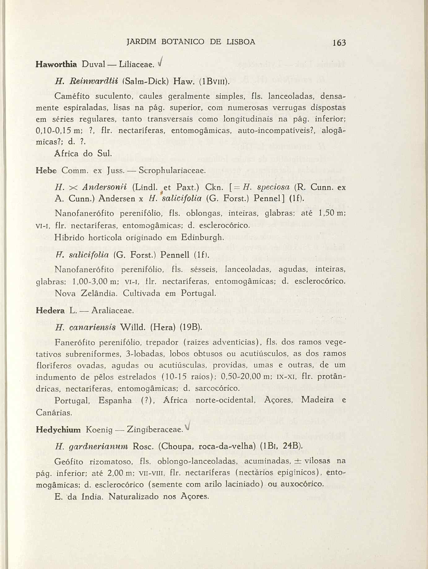 07485.004.001- pag.190