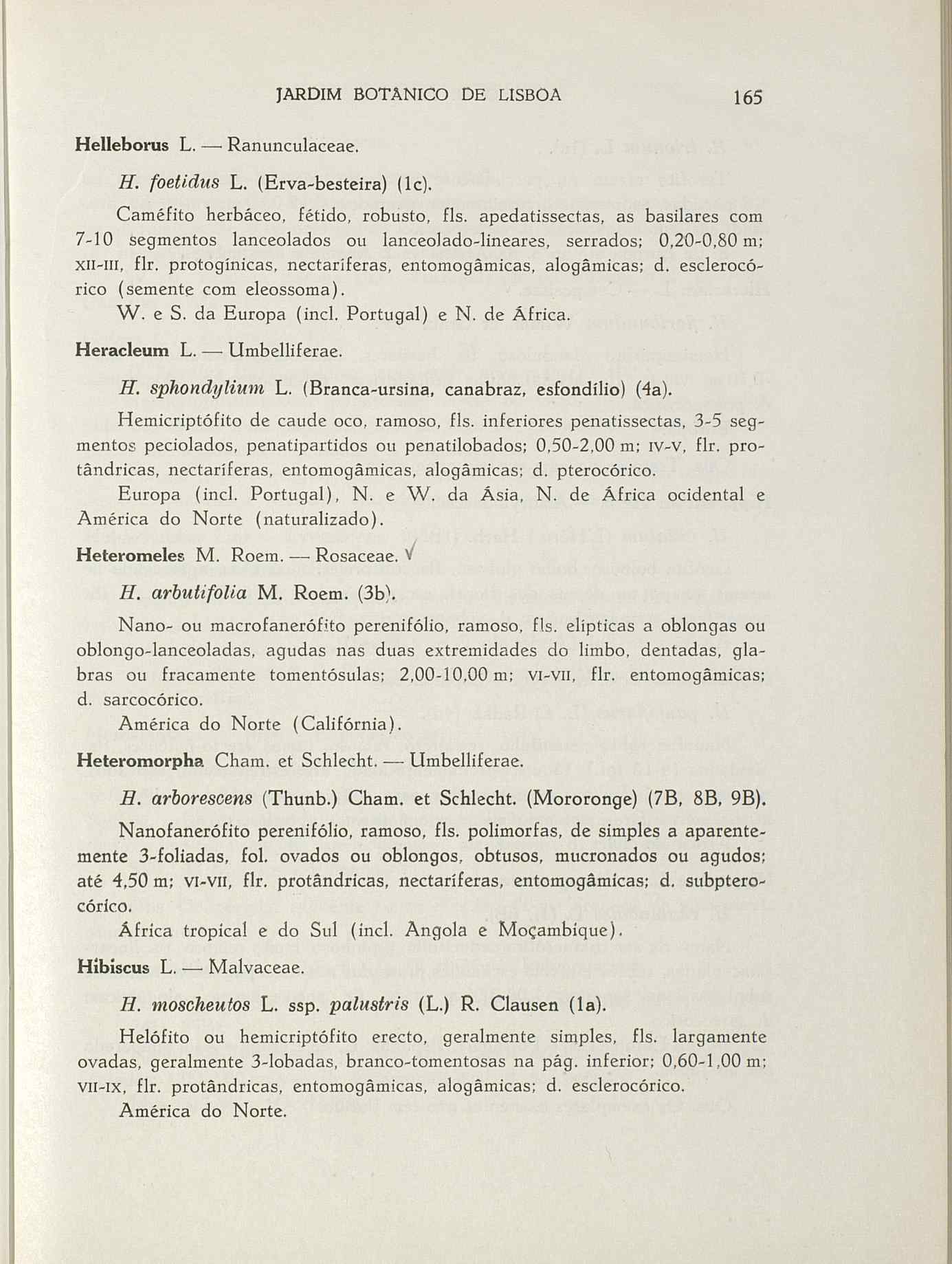 07485.004.001- pag.192