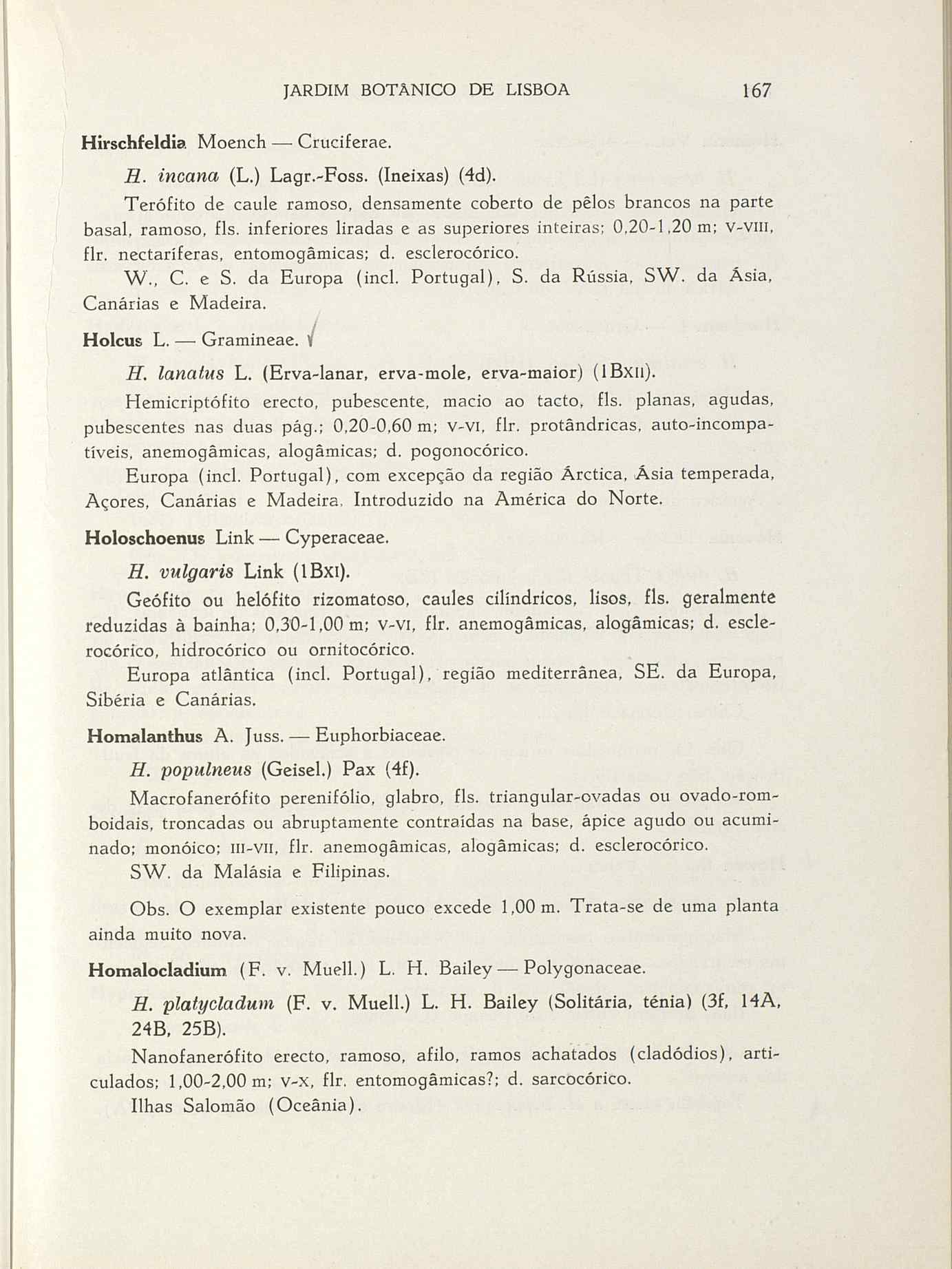 07485.004.001- pag.194