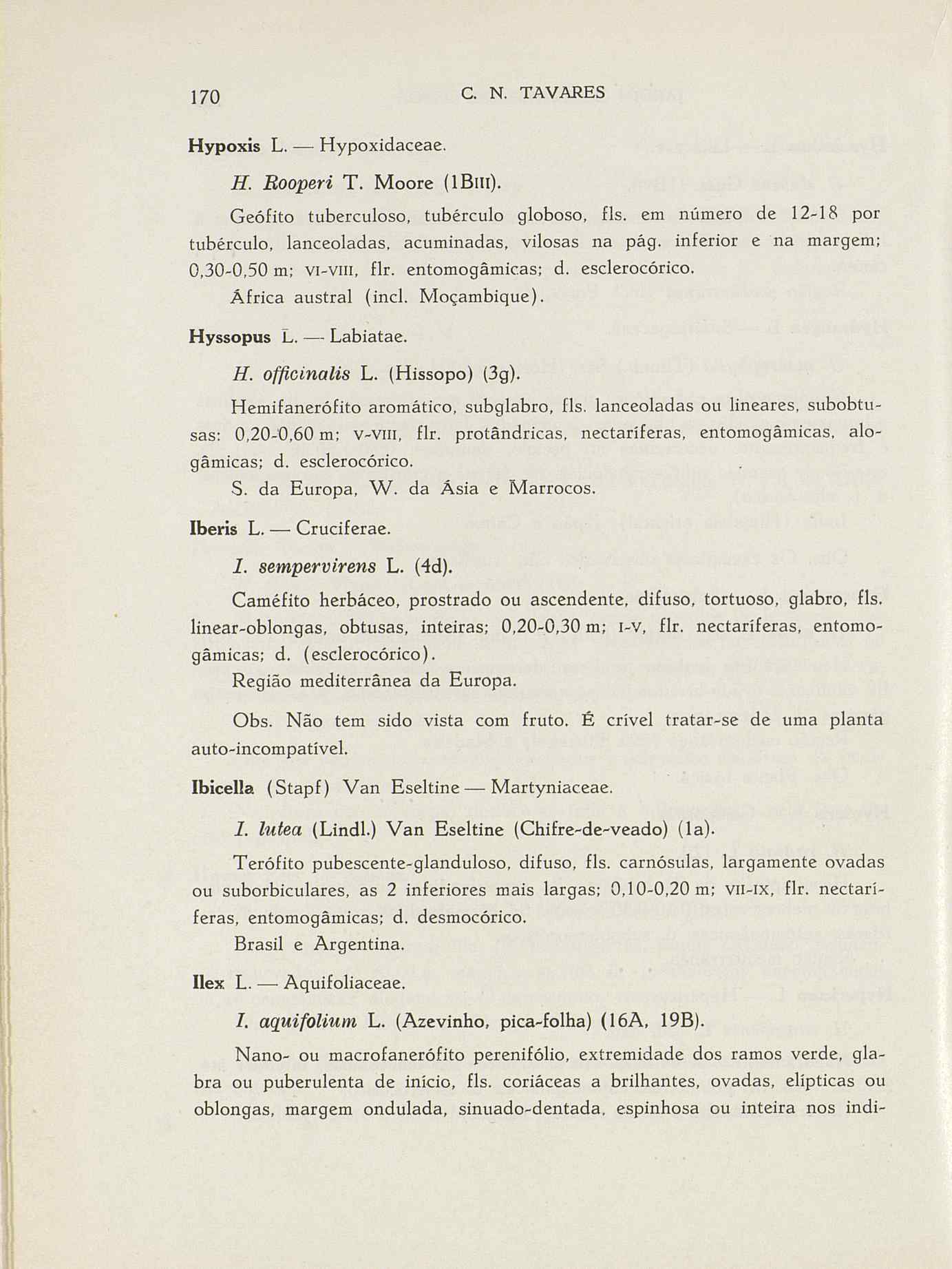 07485.004.001- pag.197