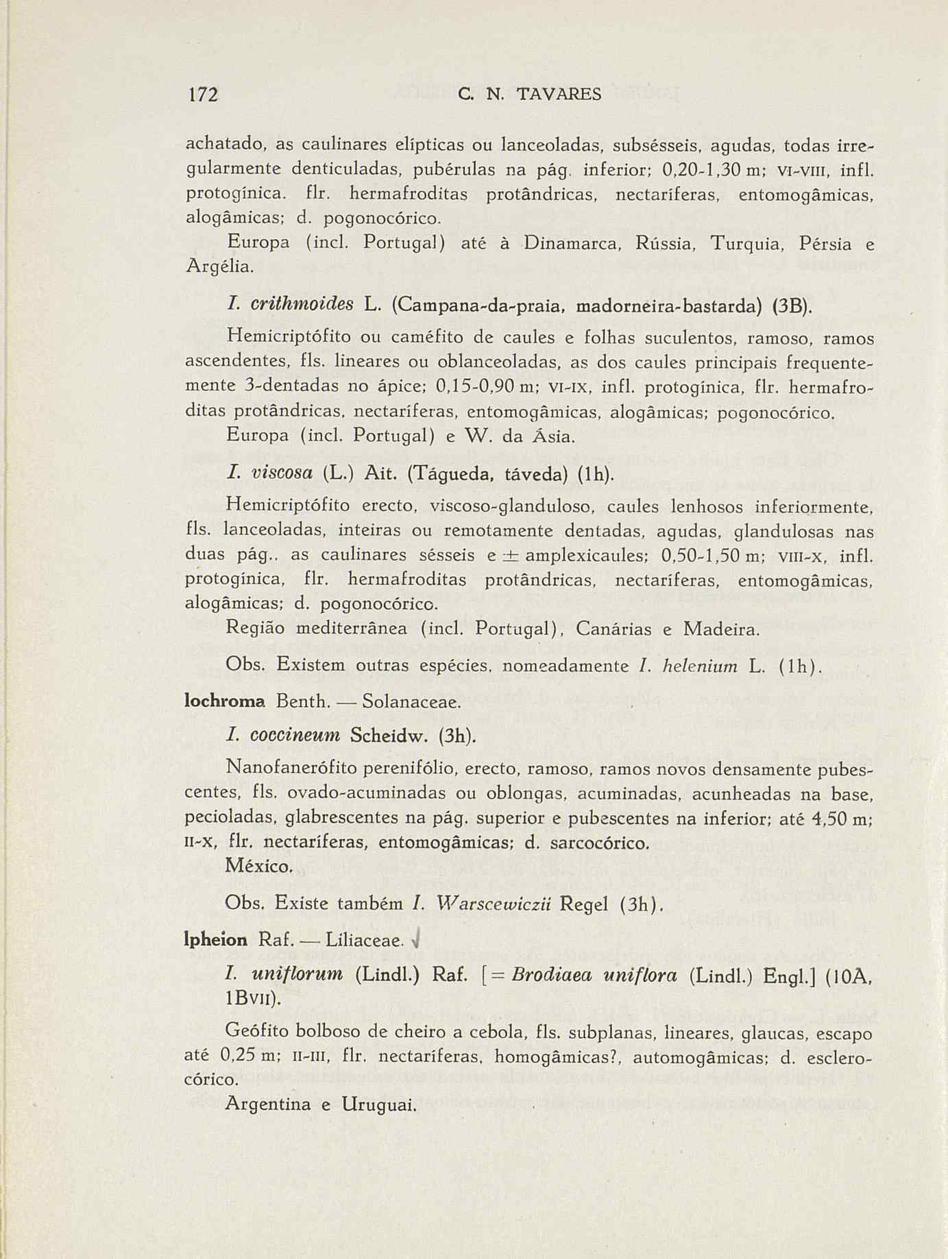 07485.004.001- pag.199