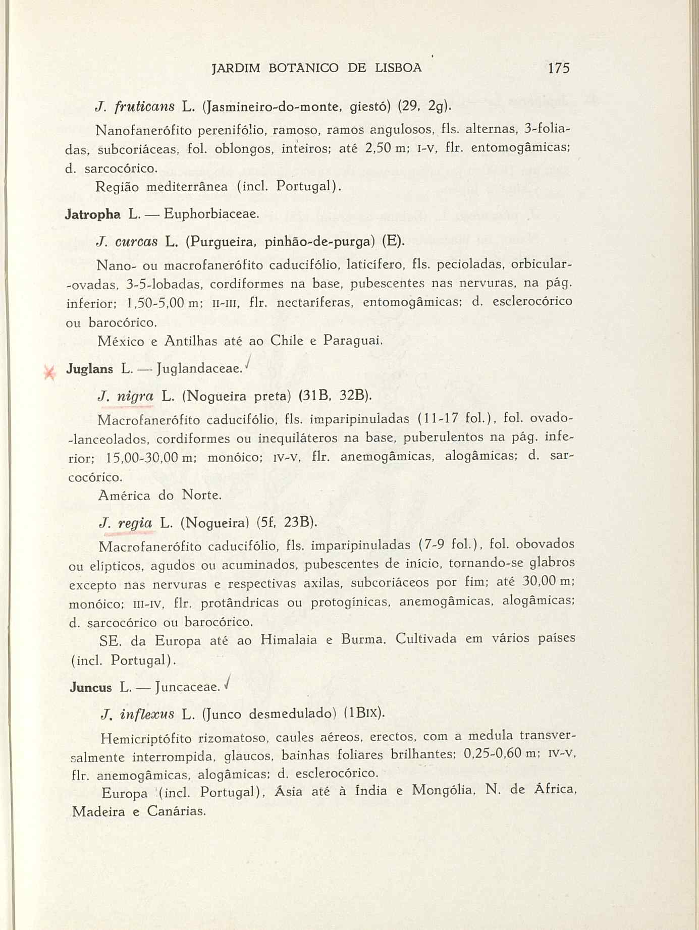 07485.004.001- pag.202