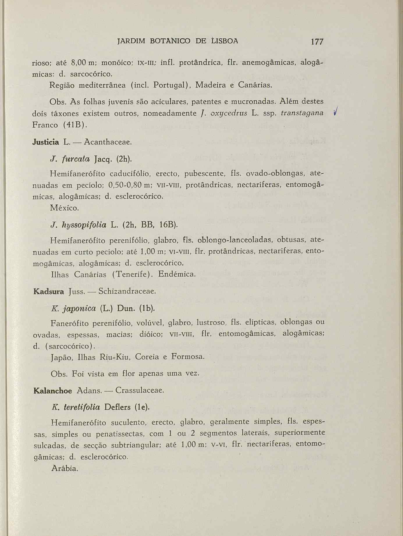 07485.004.001- pag.204