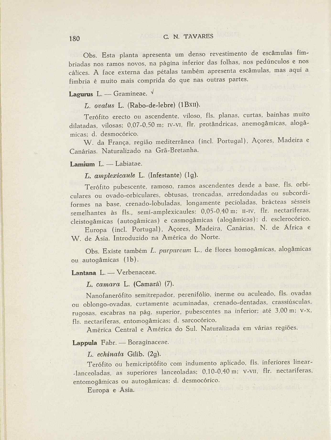 07485.004.001- pag.207