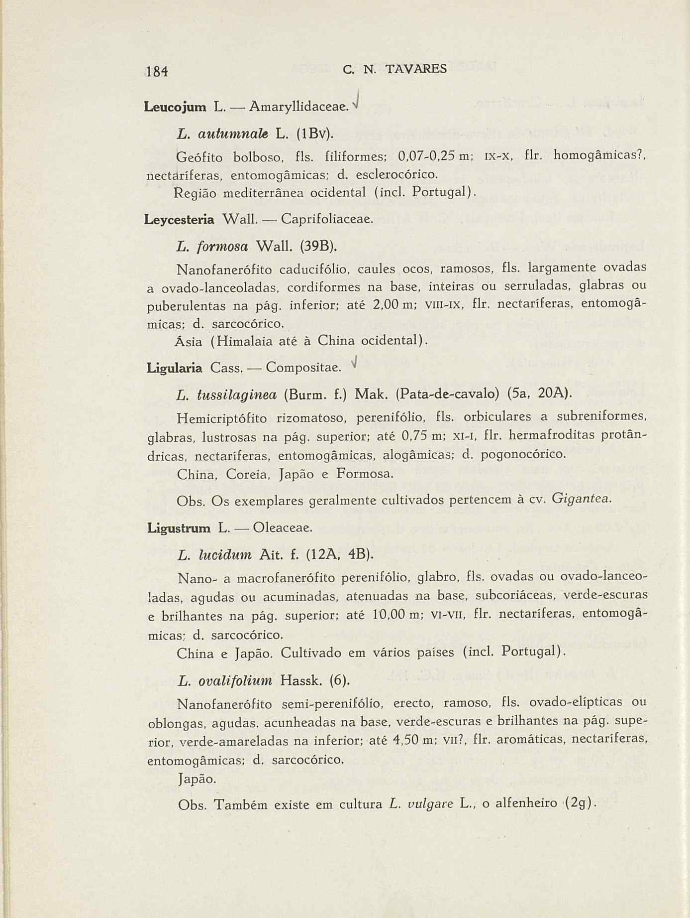 07485.004.001- pag.211