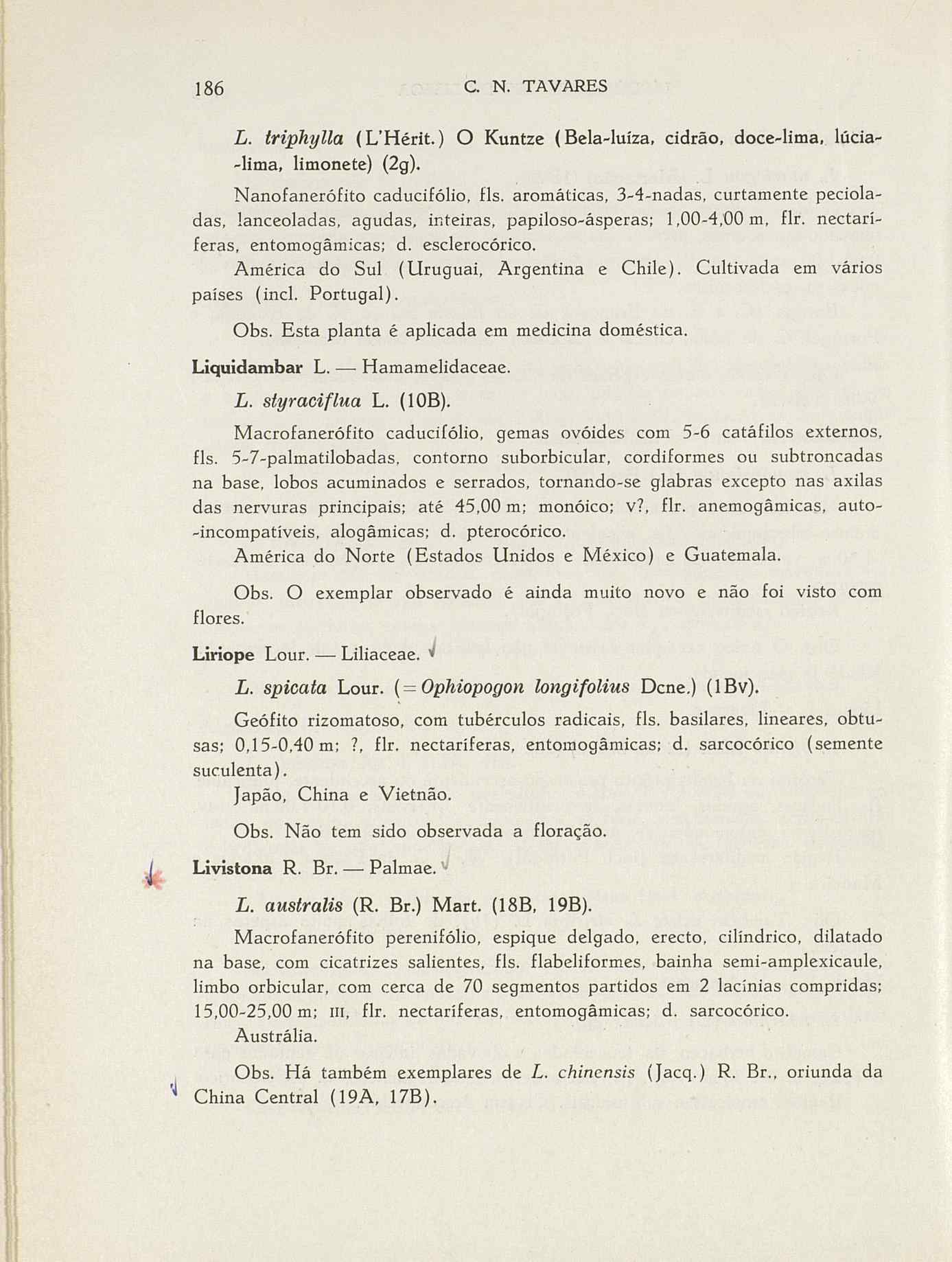 07485.004.001- pag.213