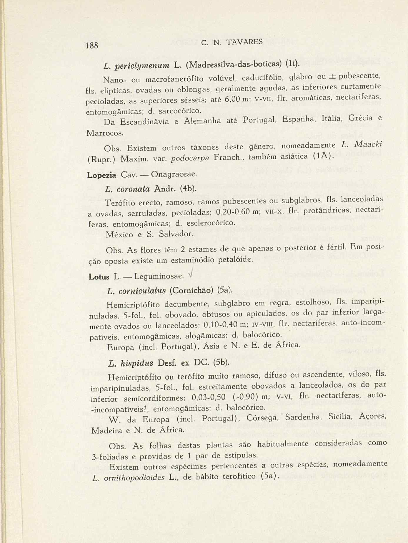 07485.004.001- pag.215