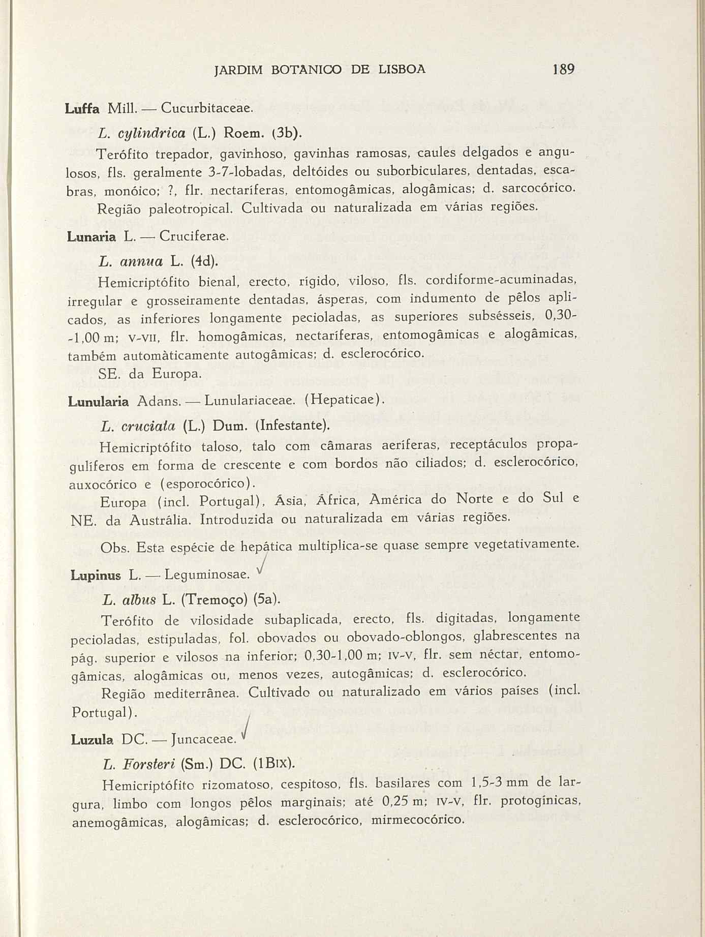 07485.004.001- pag.216