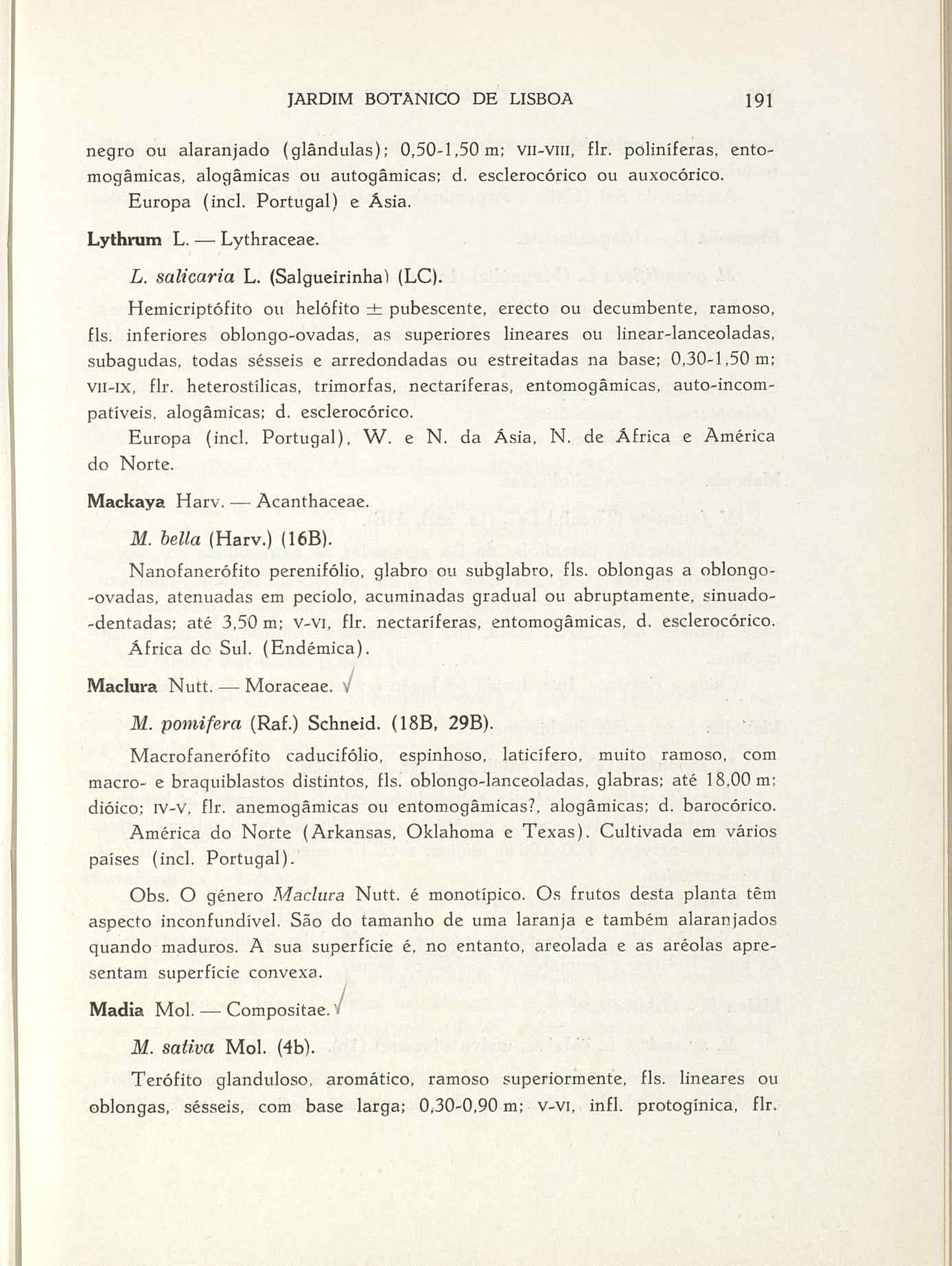 07485.004.001- pag.218