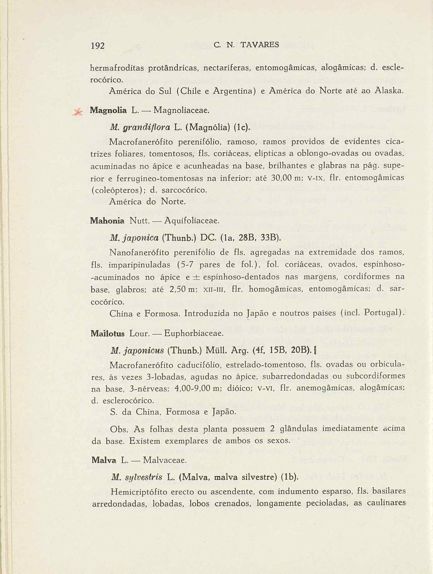 07485.004.001- pag.219