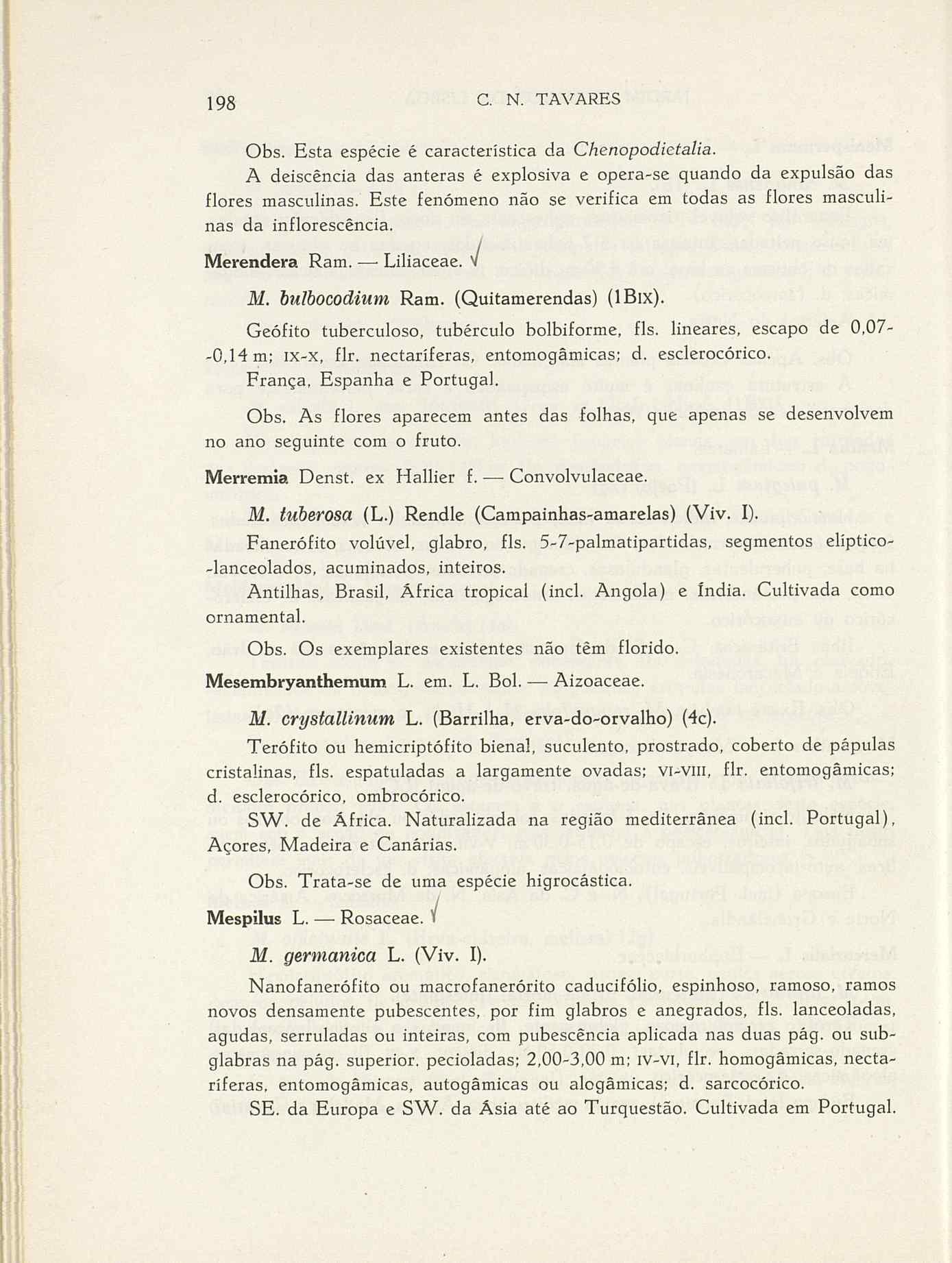 07485.004.001- pag.225