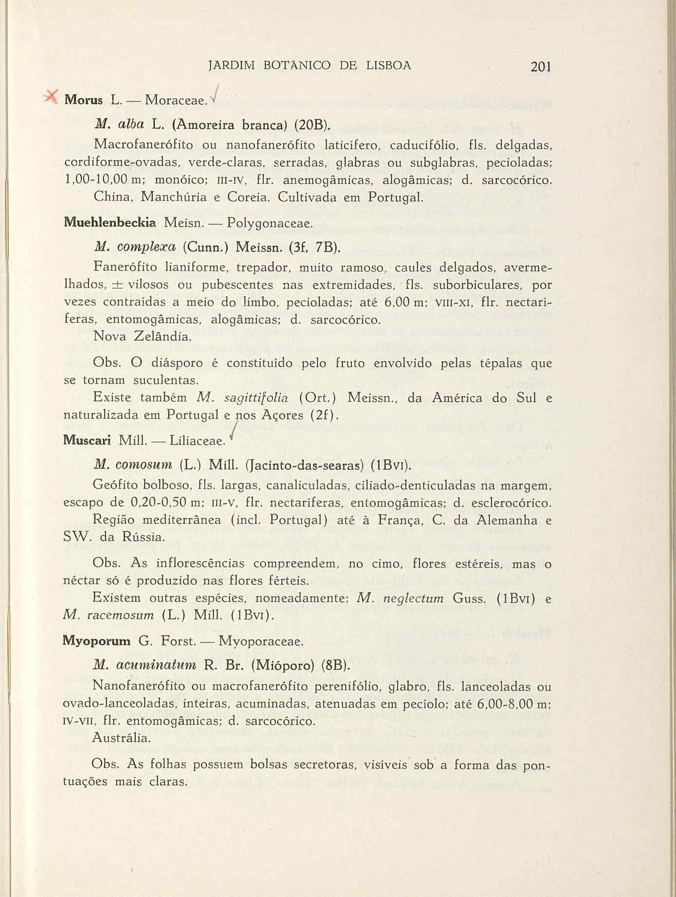 07485.004.001- pag.228