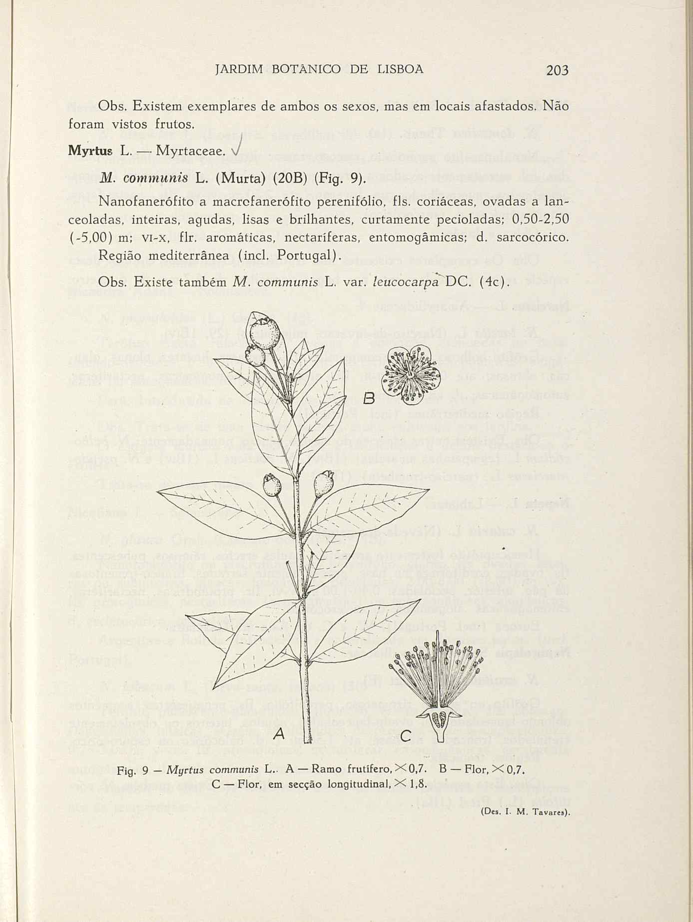 07485.004.001- pag.230