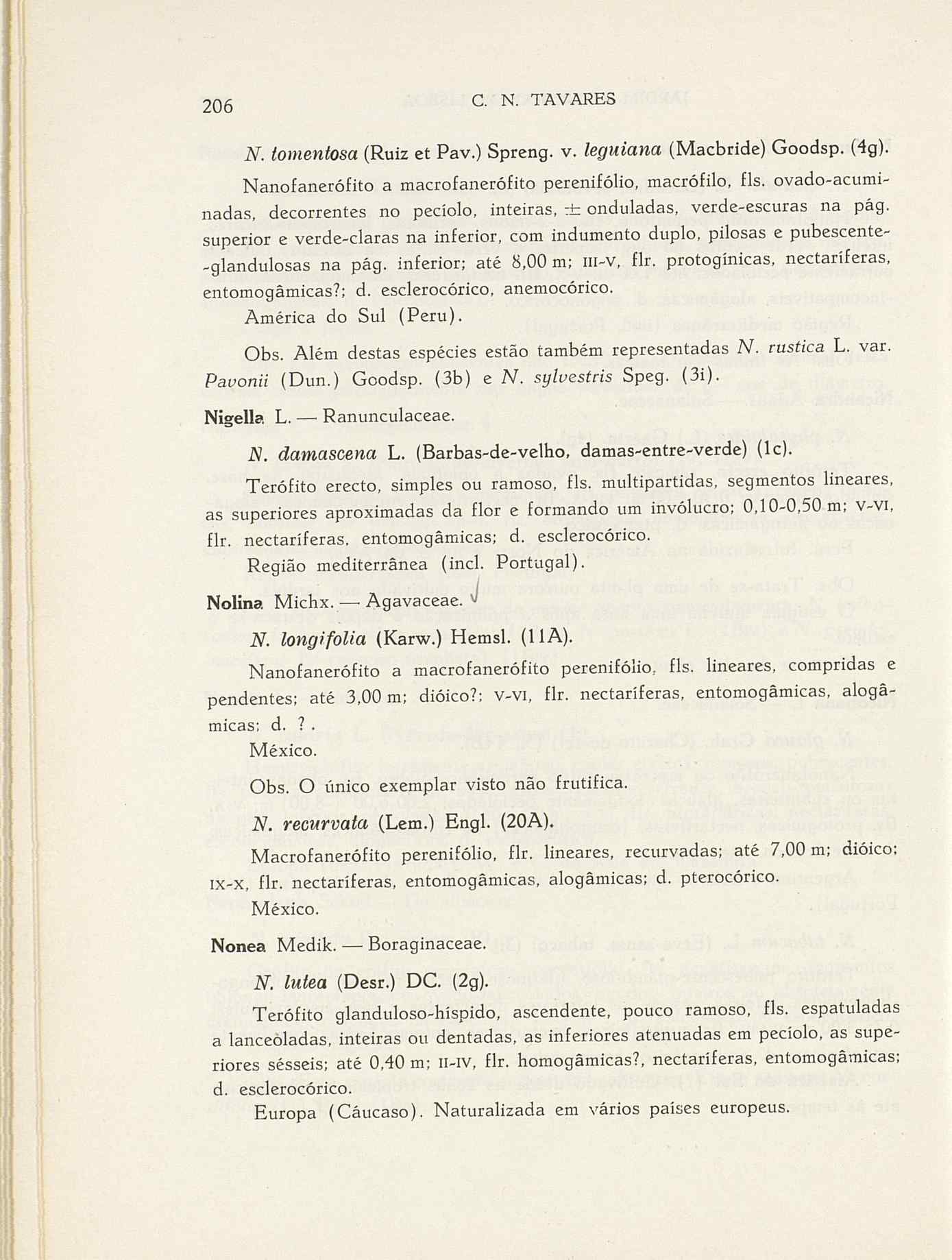 07485.004.001- pag.233