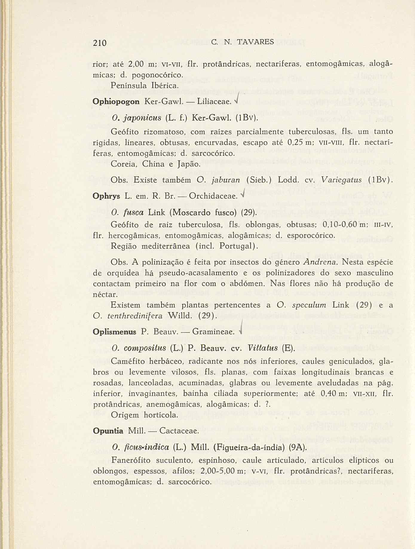 07485.004.001- pag.237