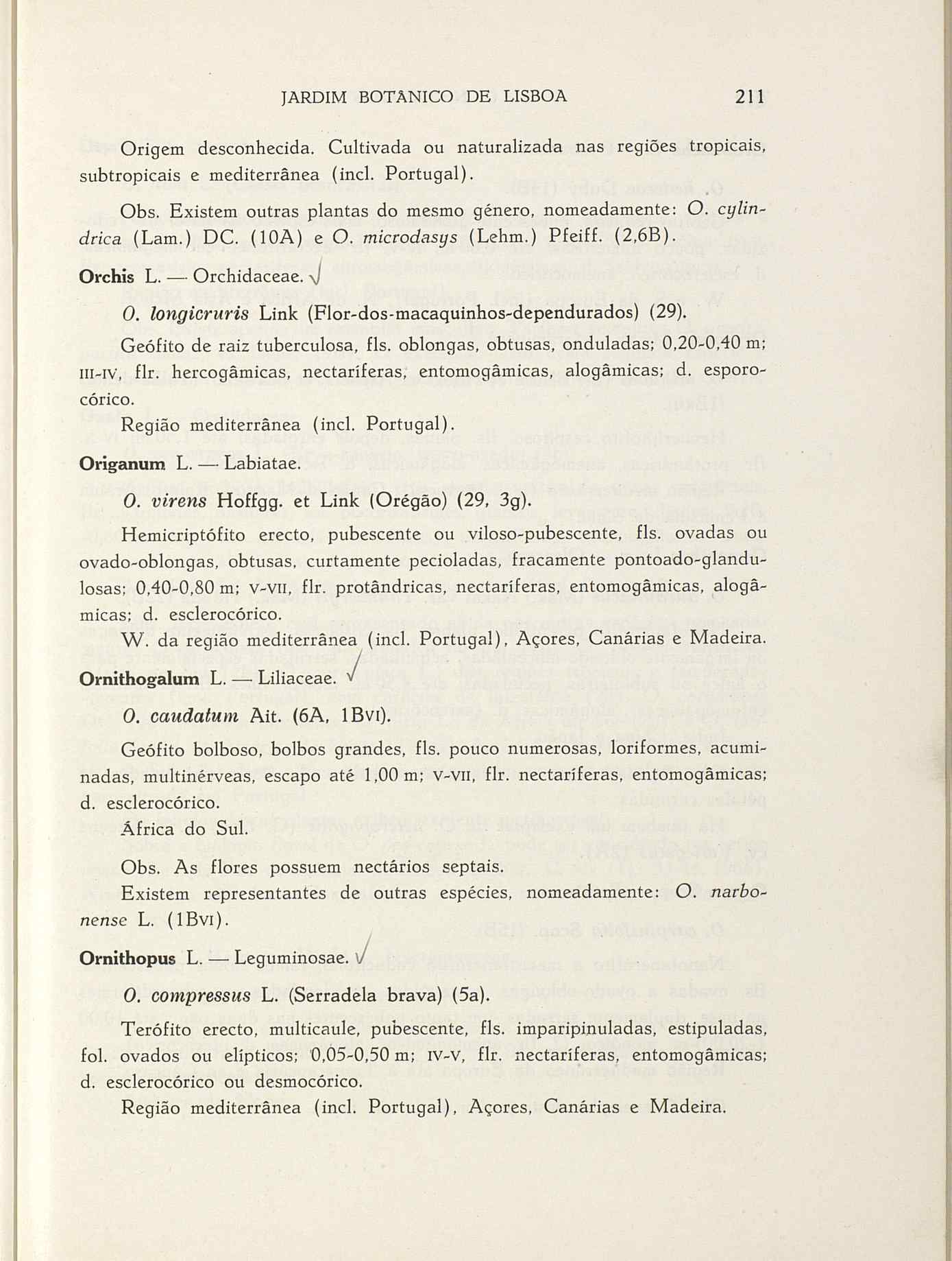 07485.004.001- pag.238