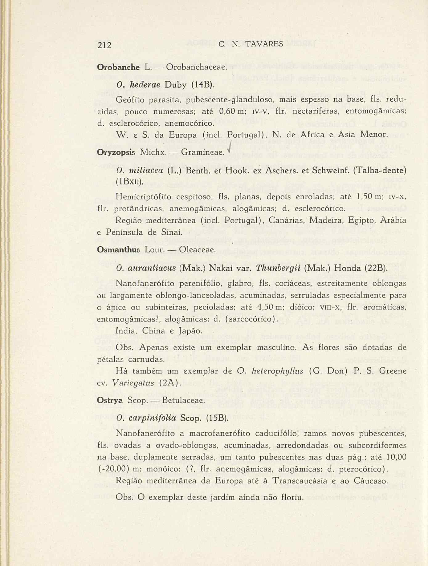 07485.004.001- pag.239