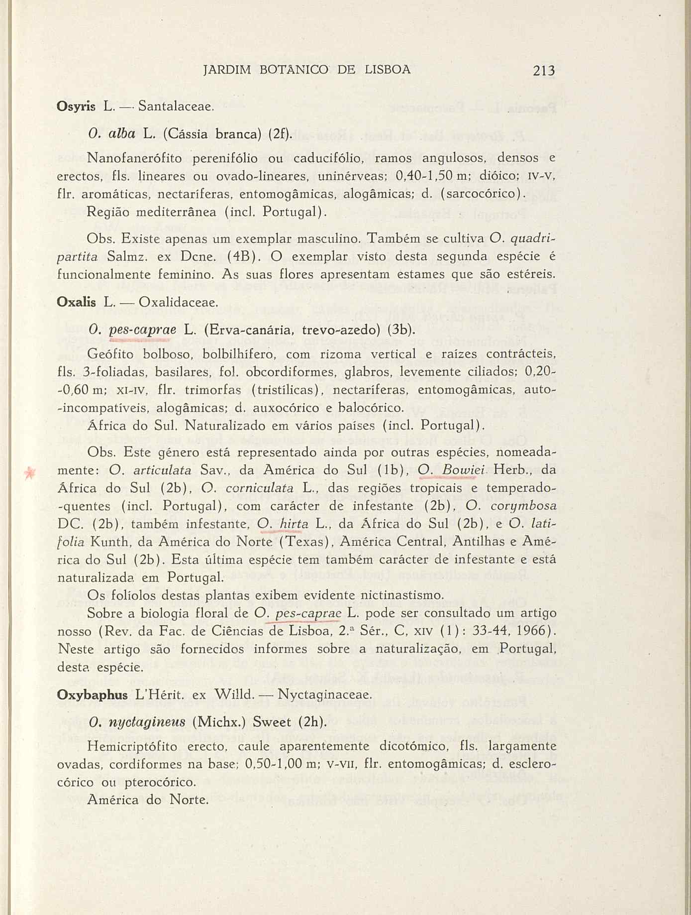 07485.004.001- pag.240