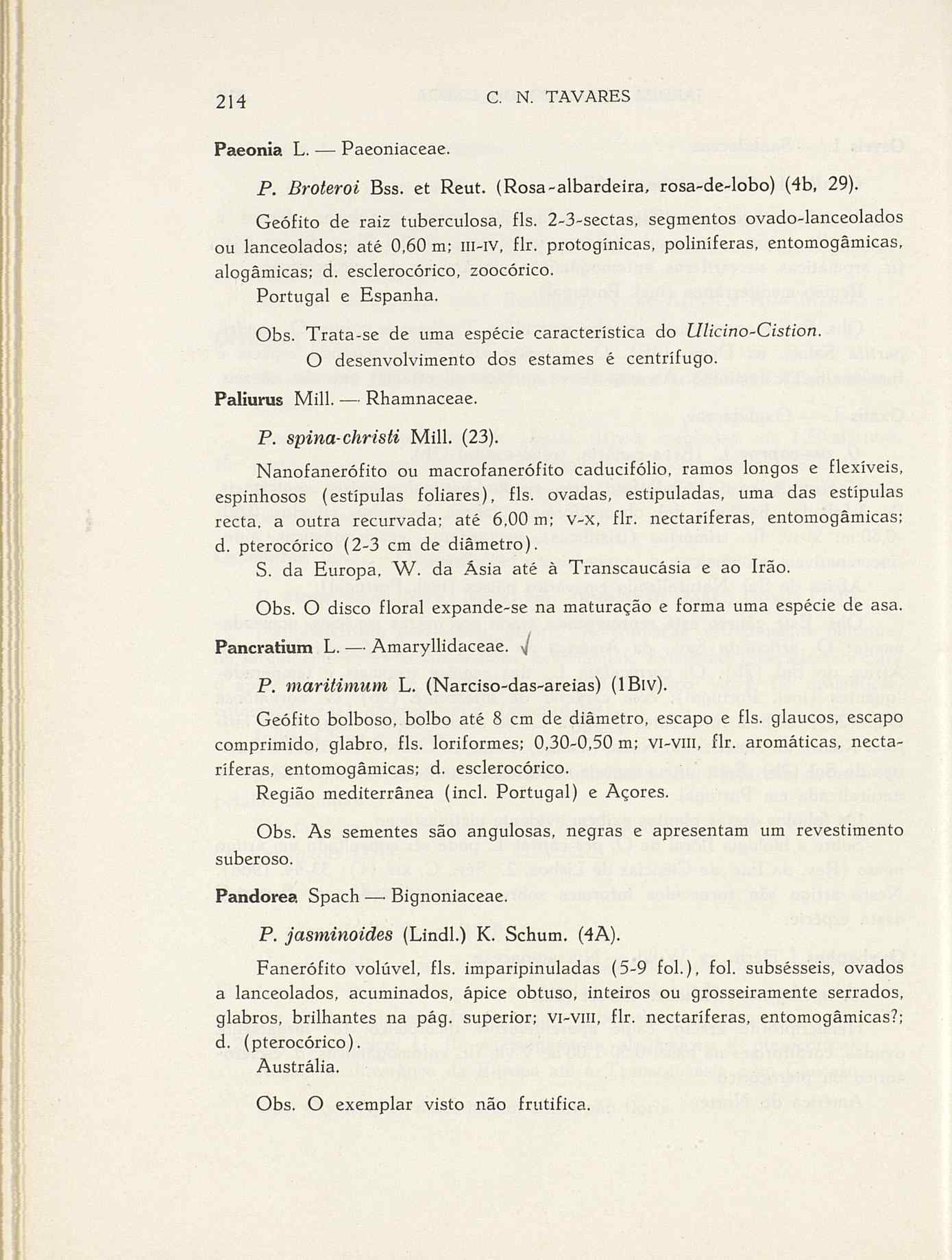 07485.004.001- pag.241