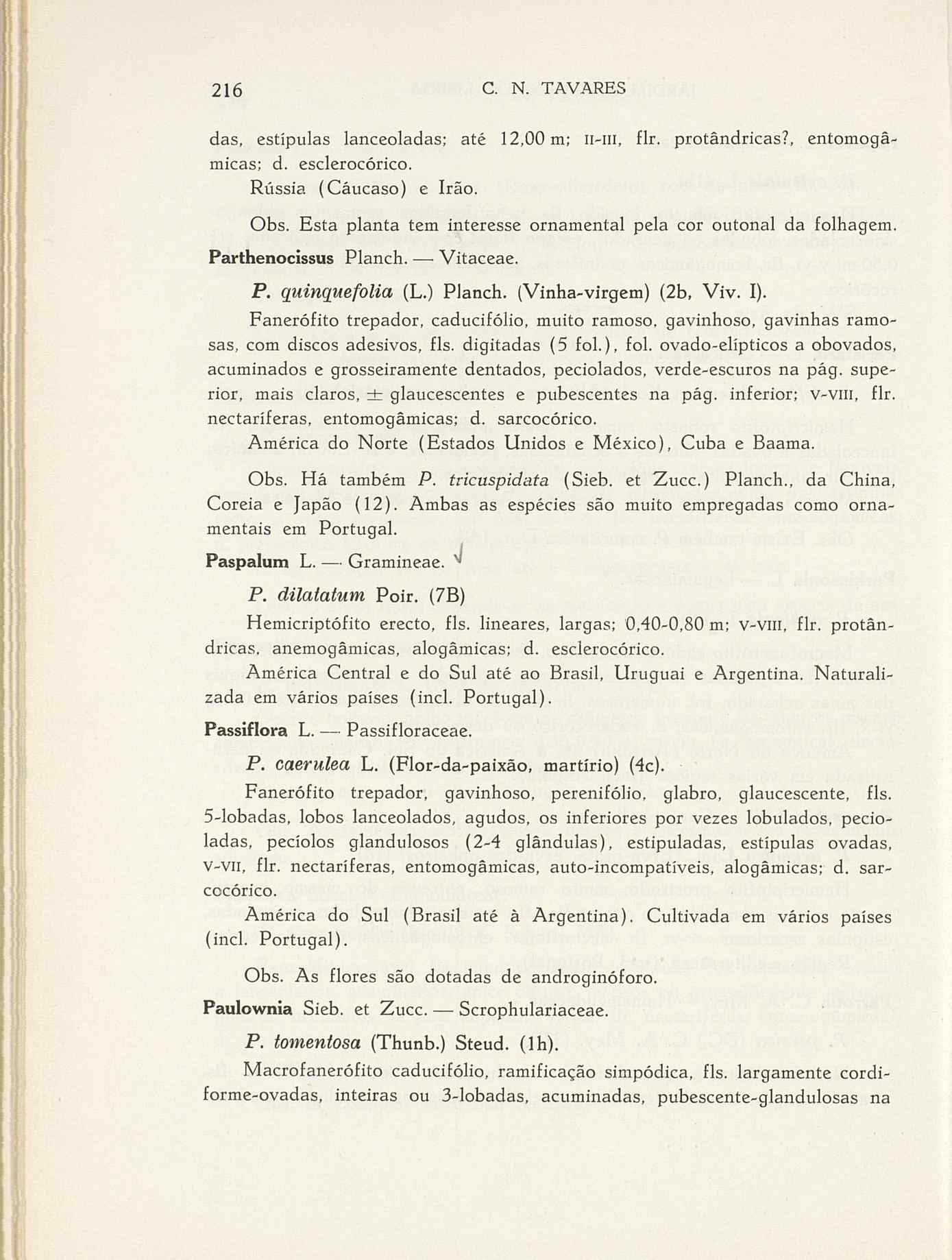 07485.004.001- pag.243