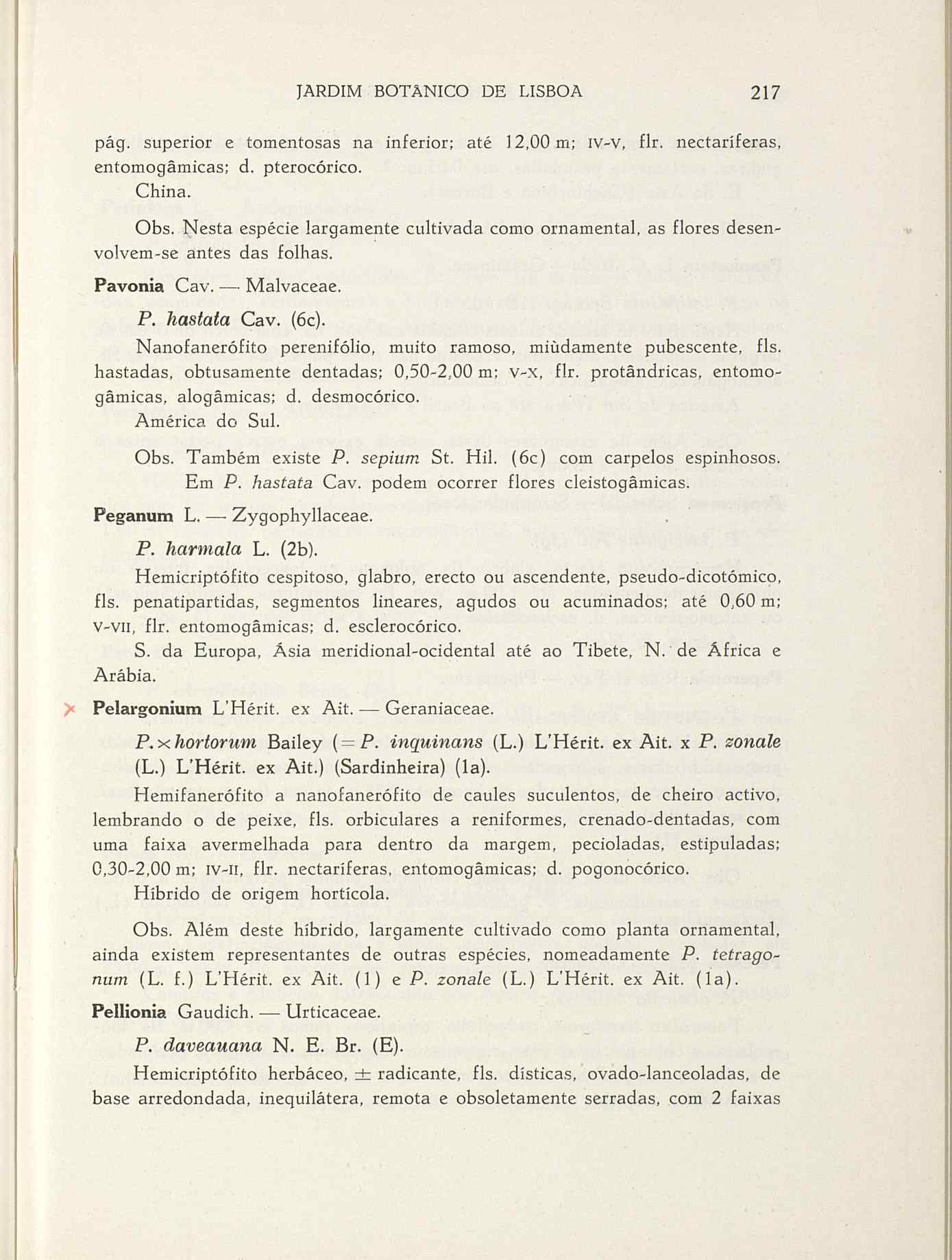 07485.004.001- pag.244