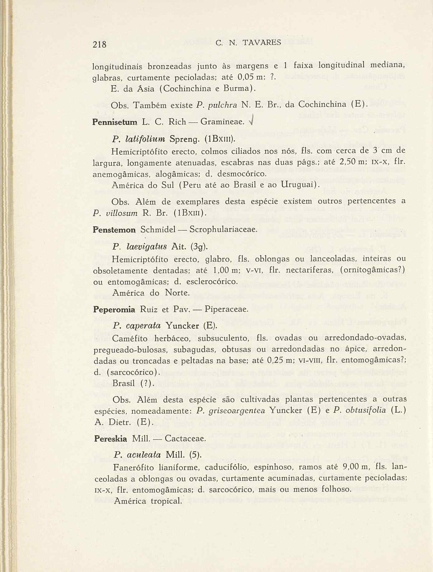 07485.004.001- pag.245