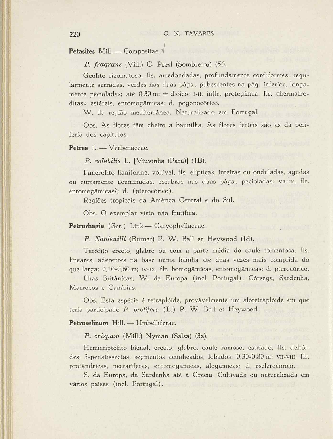 07485.004.001- pag.247