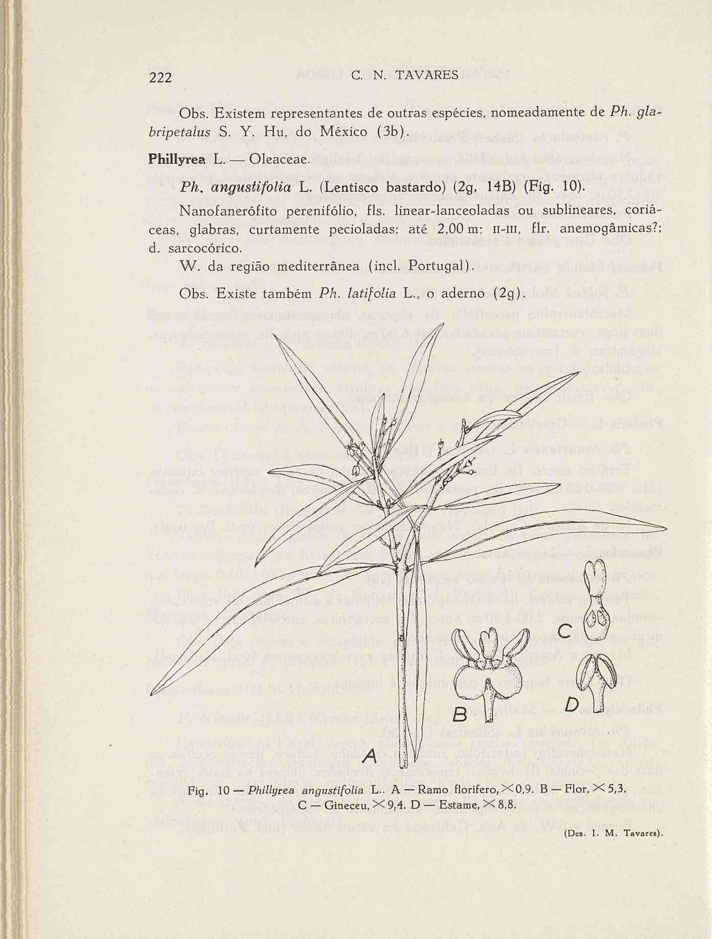 07485.004.001- pag.249