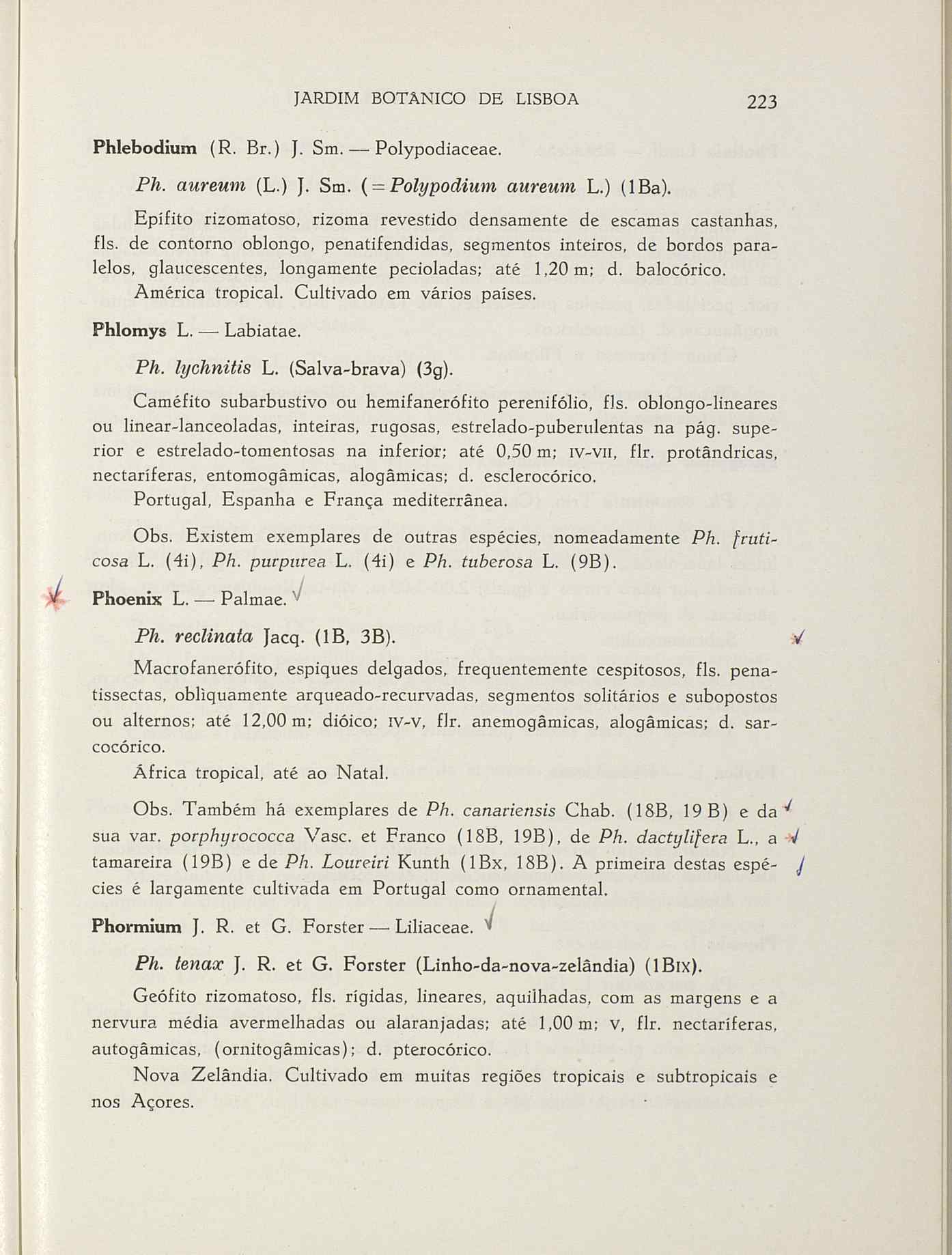 07485.004.001- pag.250