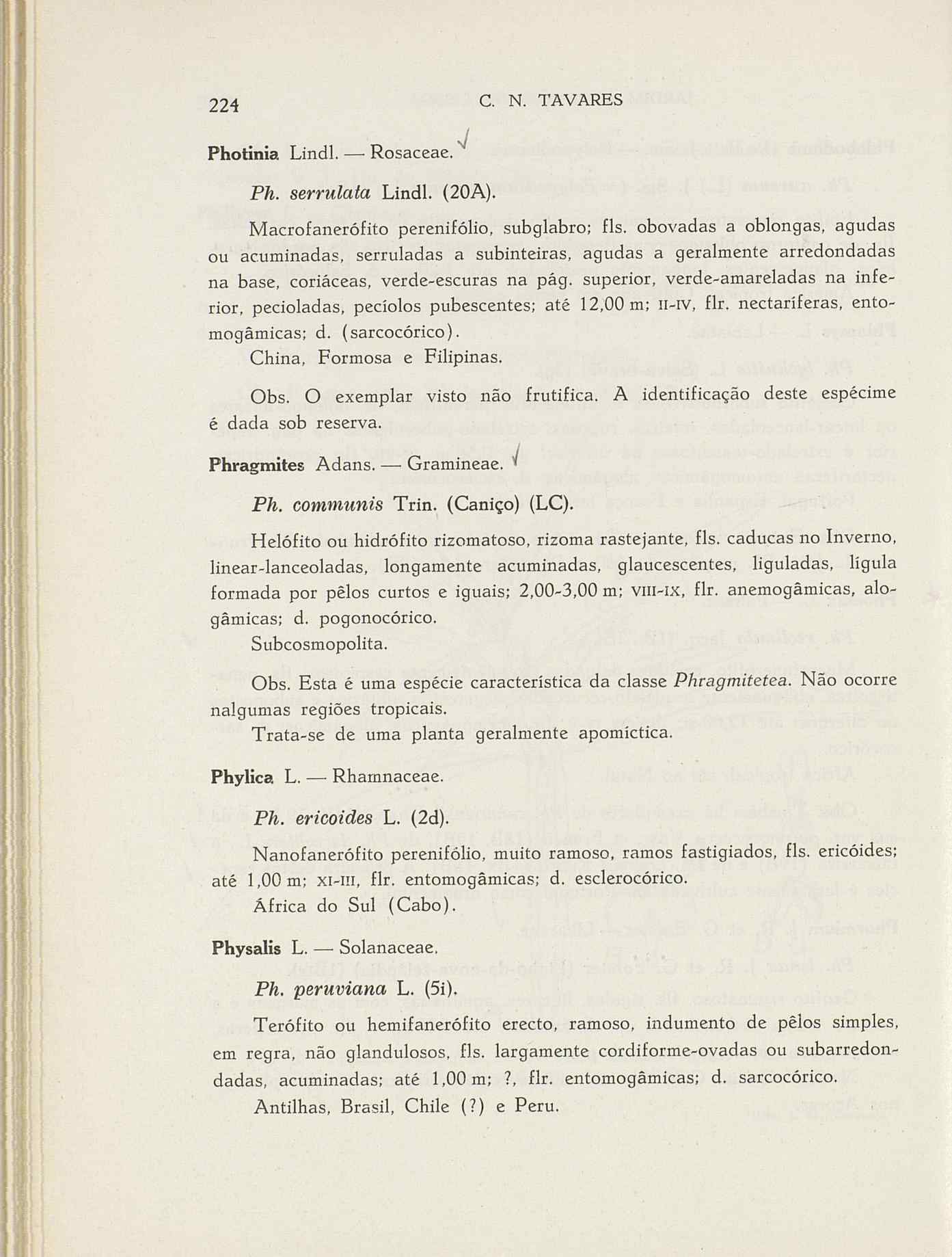 07485.004.001- pag.251