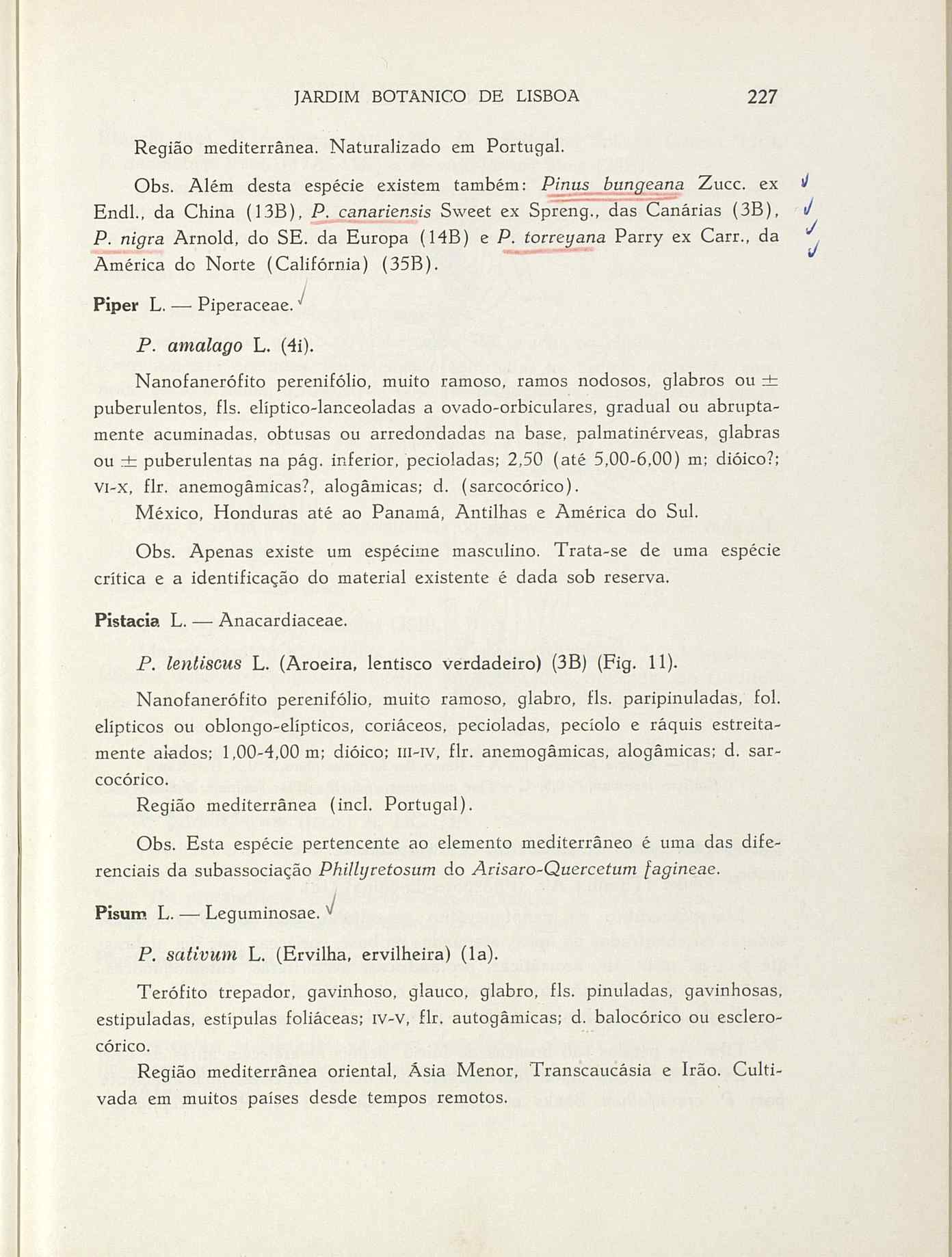 07485.004.001- pag.254