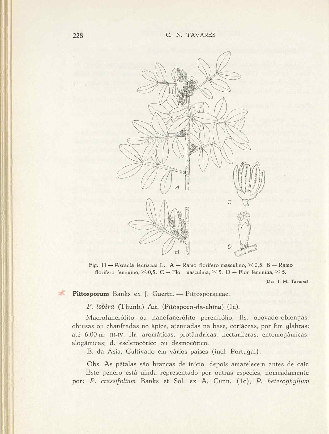 07485.004.001- pag.255