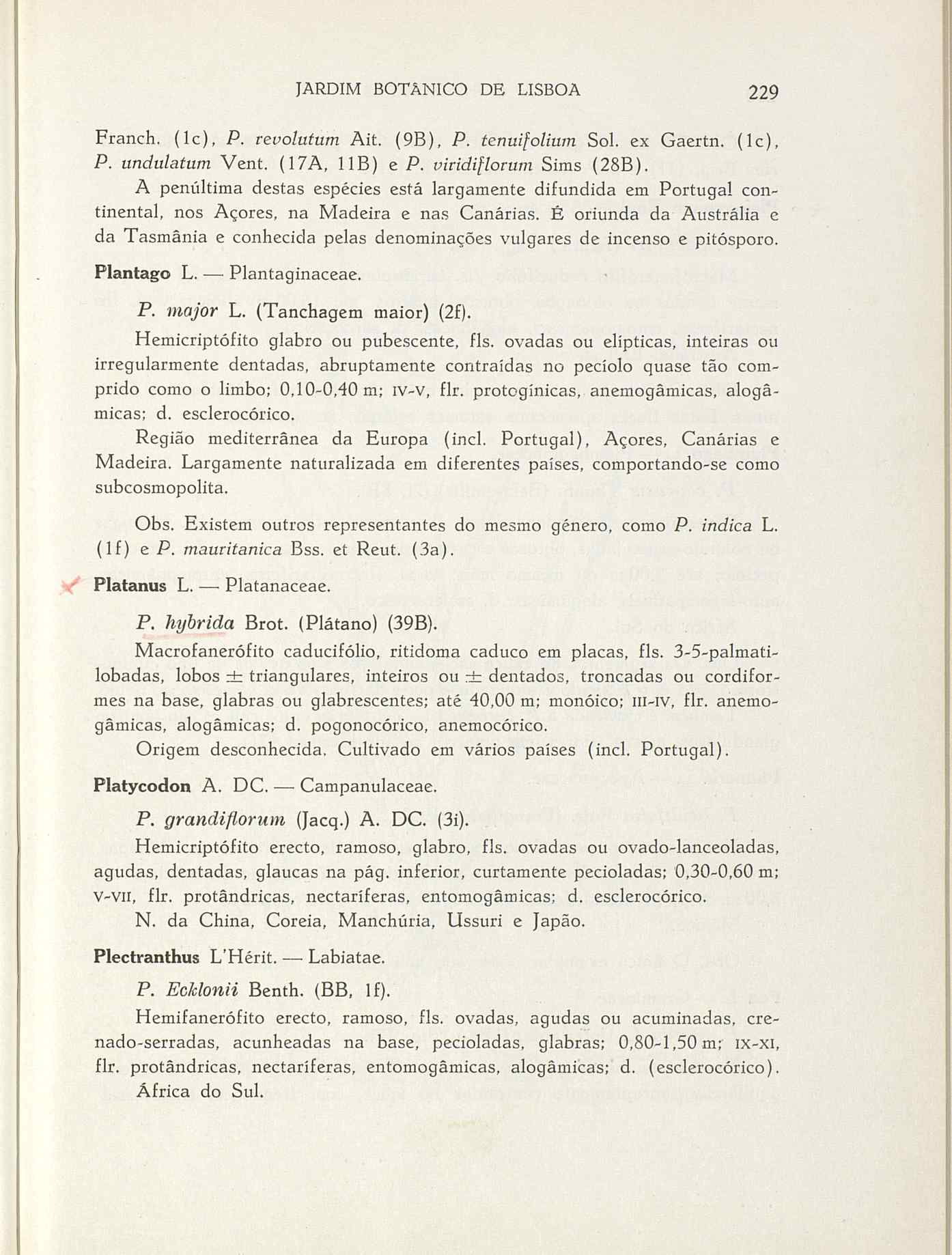 07485.004.001- pag.256