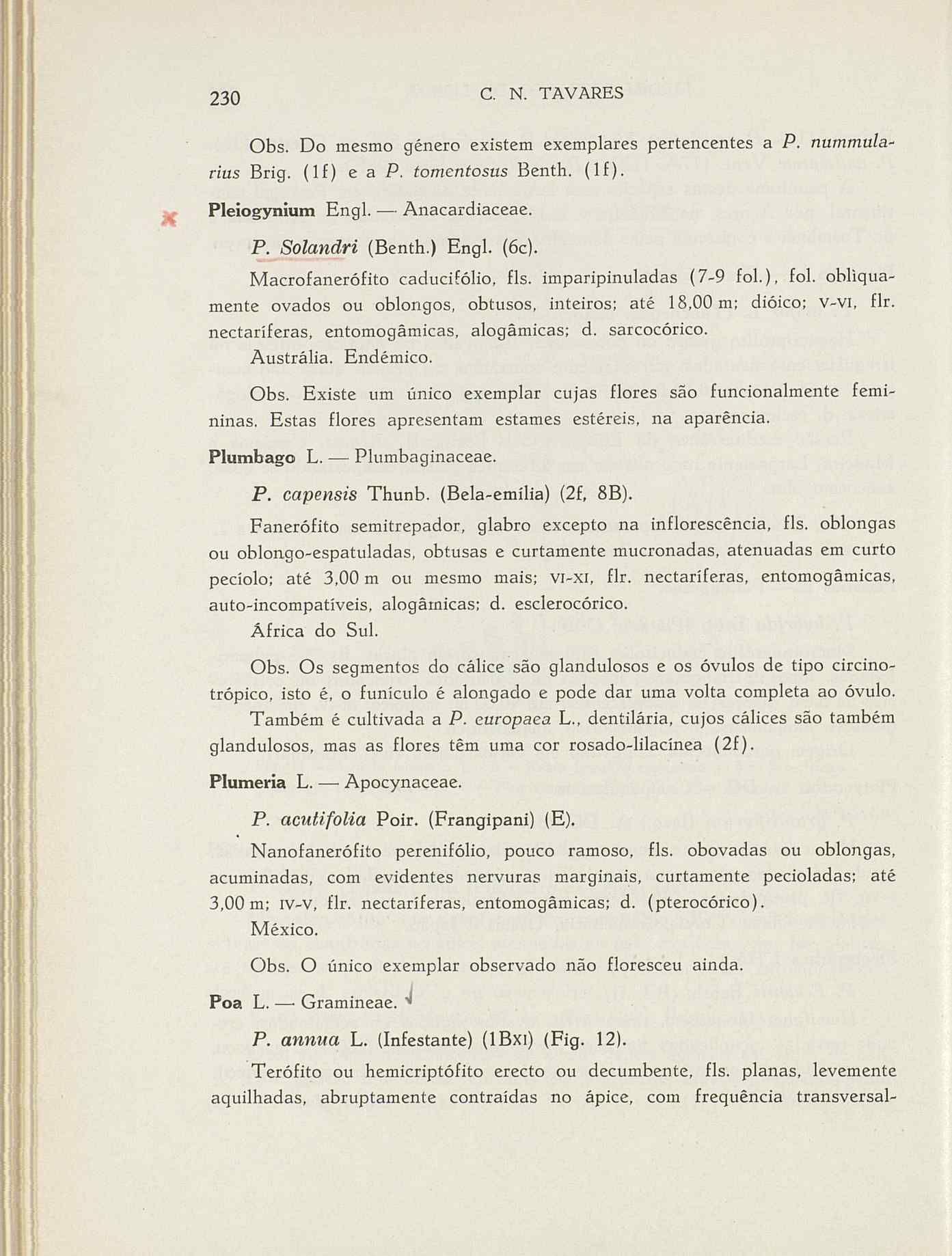 07485.004.001- pag.257