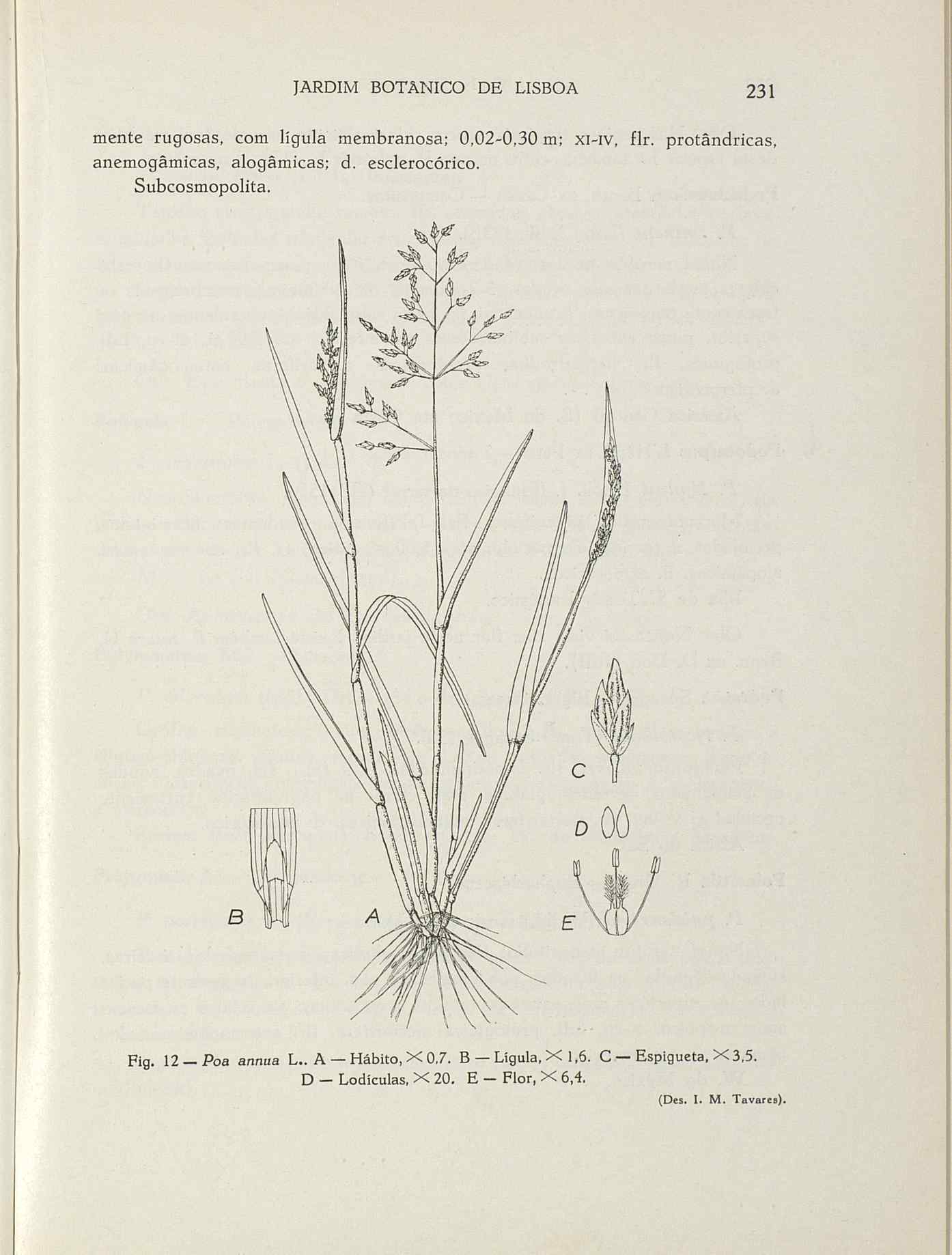 07485.004.001- pag.258