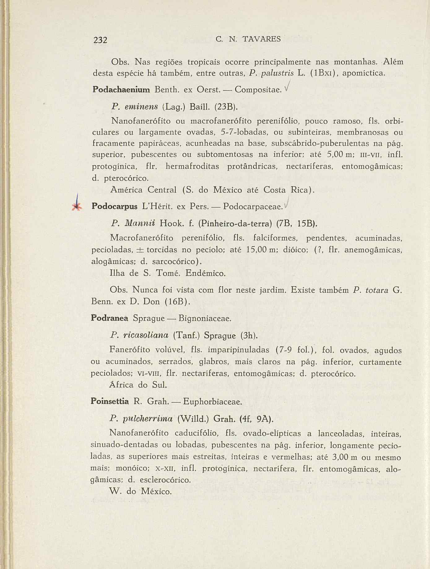 07485.004.001- pag.259