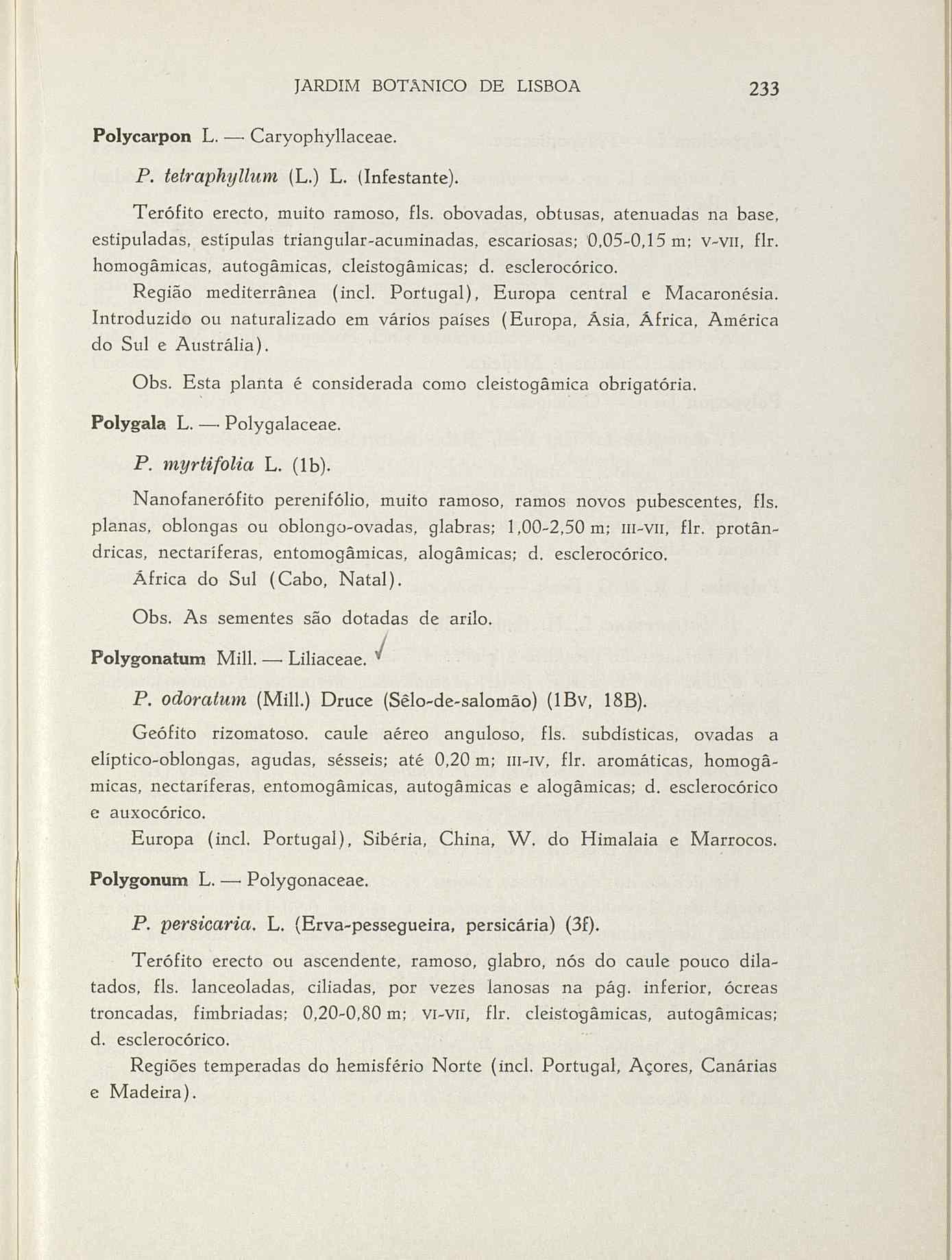 07485.004.001- pag.260